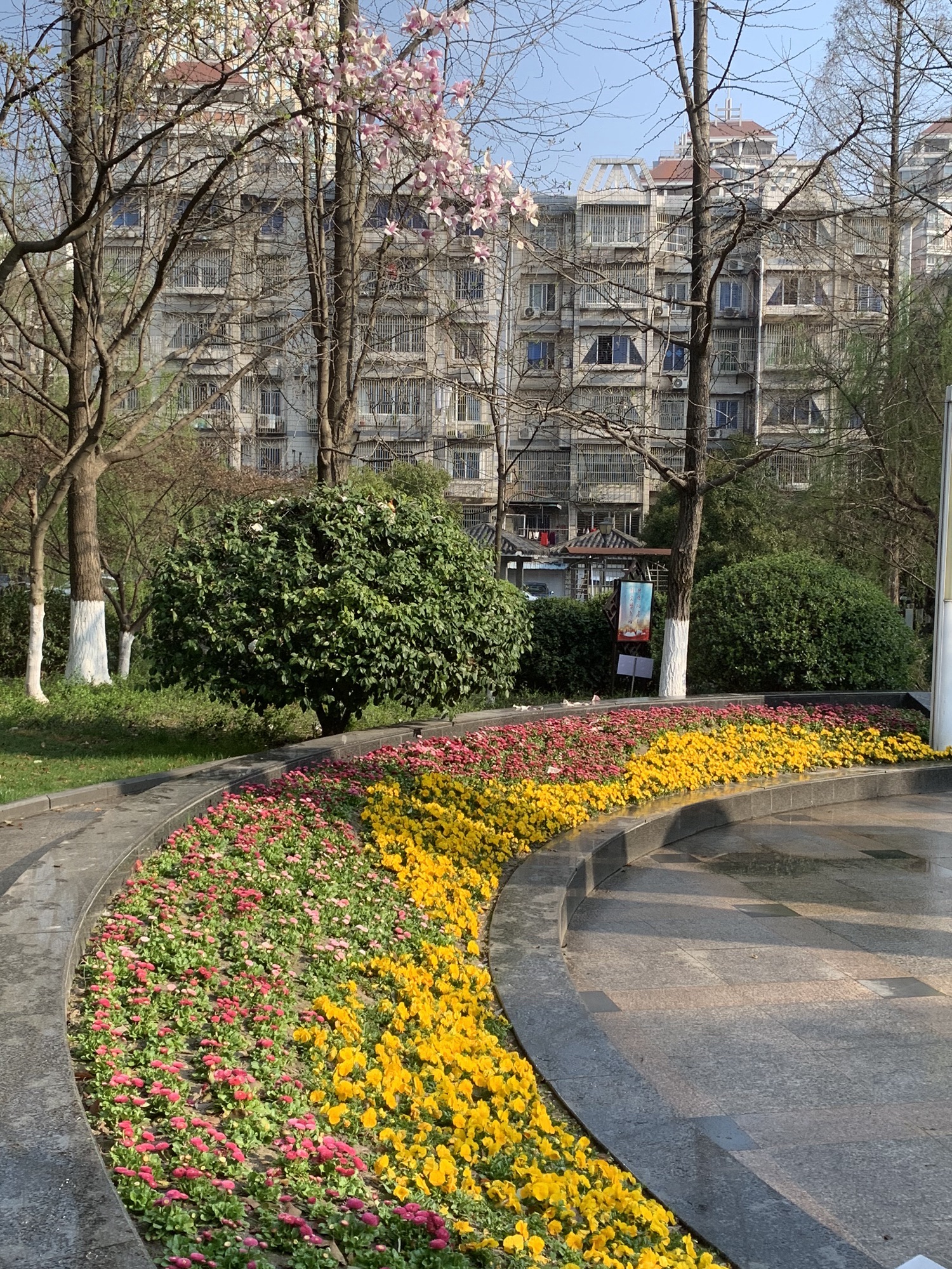 时代公园旅行图片 3