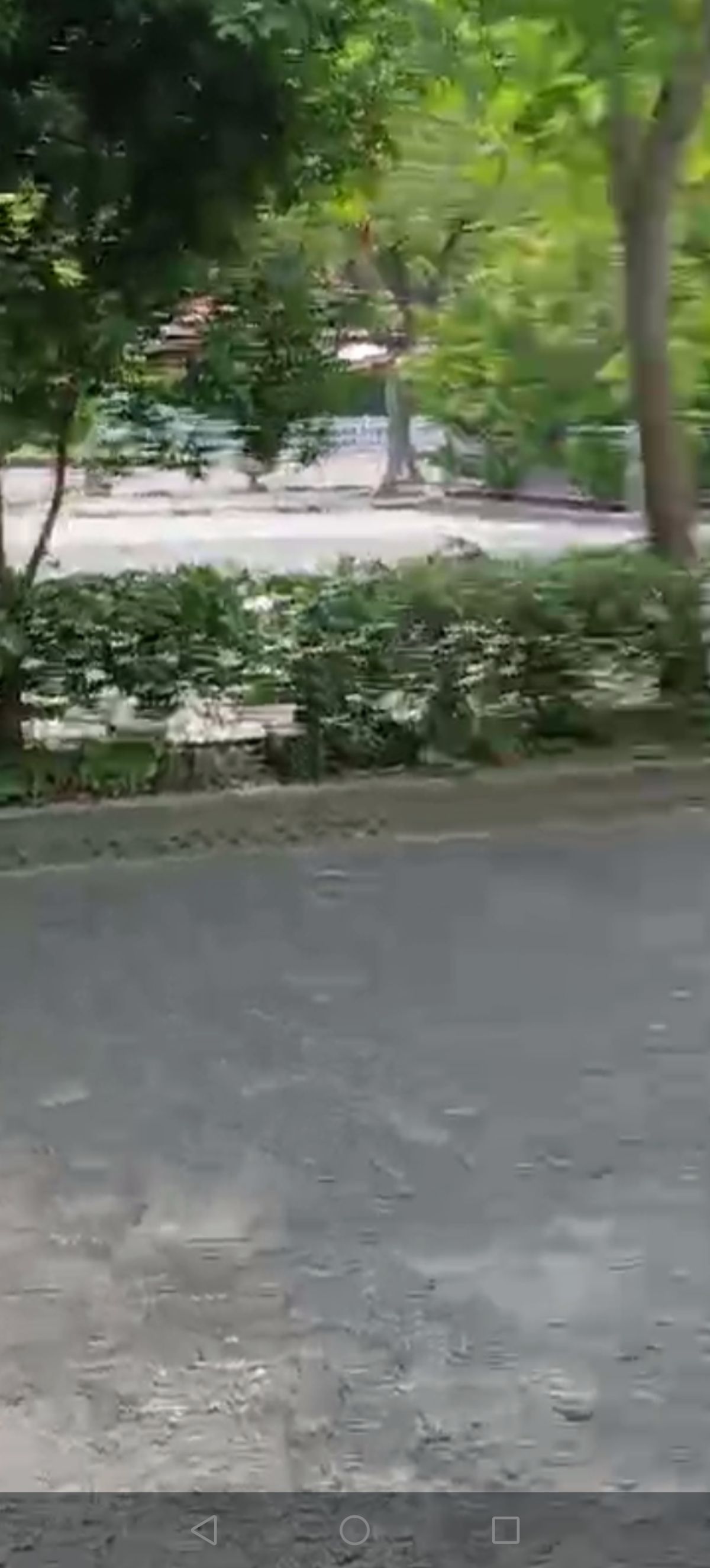 峙山公园旅行图片 3