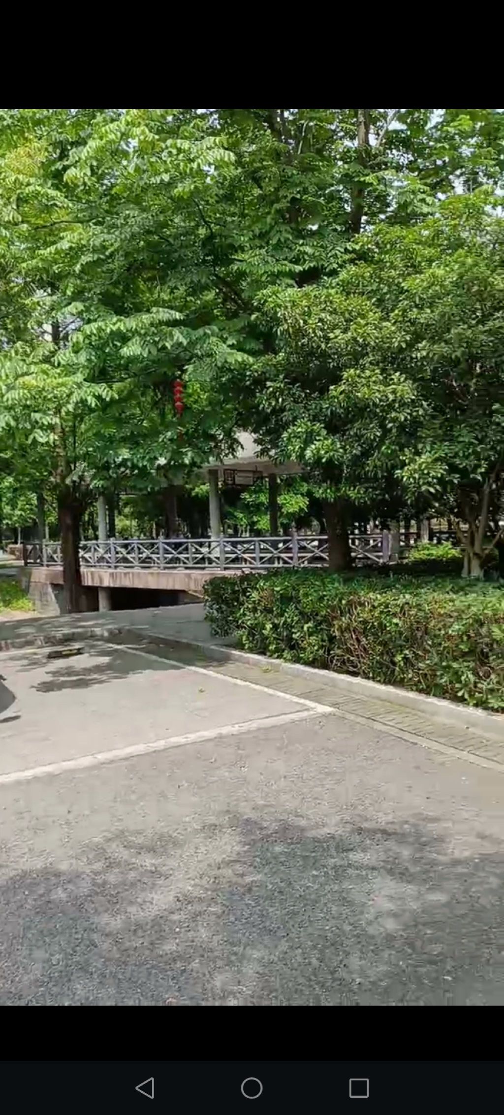 峙山公园旅行图片 1
