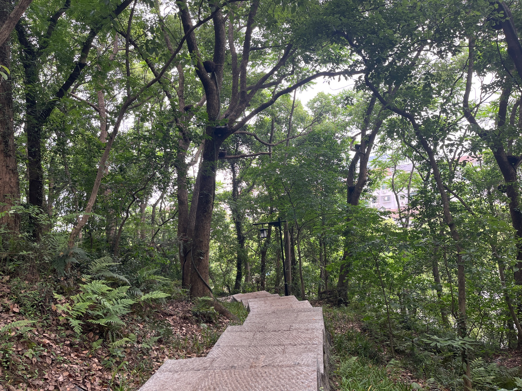 峙山公园旅行图片 2