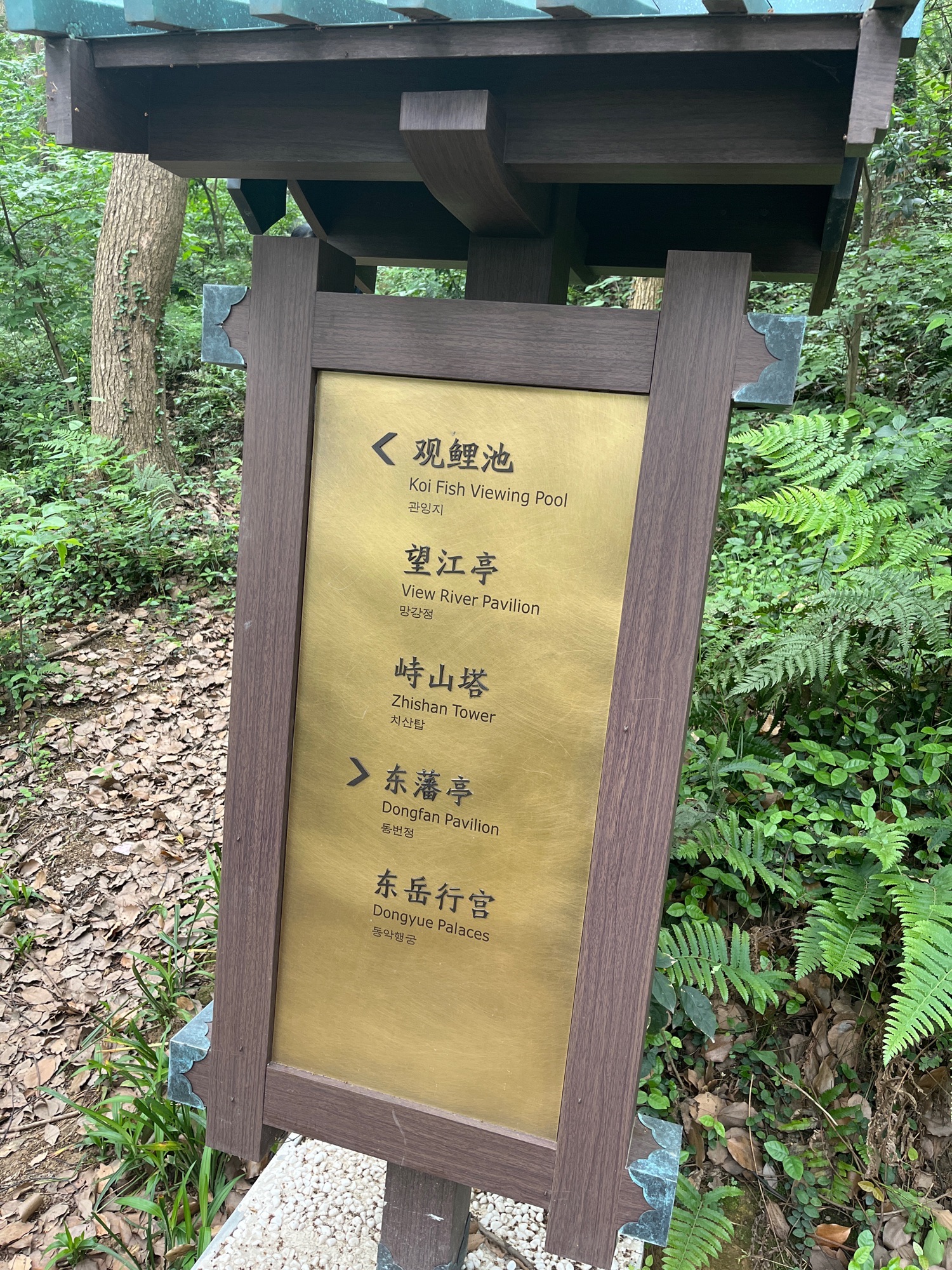峙山公园旅行图片 1