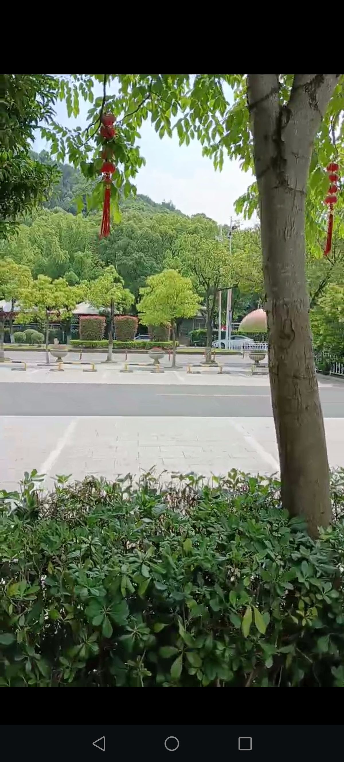 峙山公园旅行图片 2