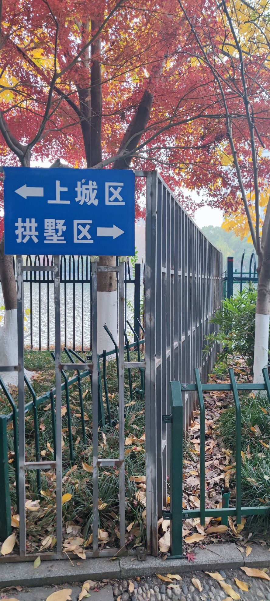 上城区