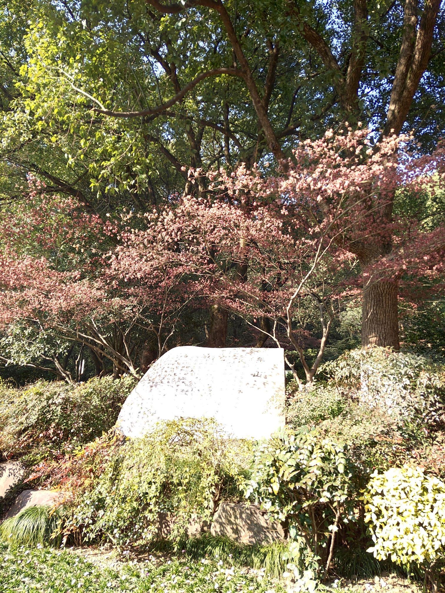杭州半山国家森林公园旅行图片 2