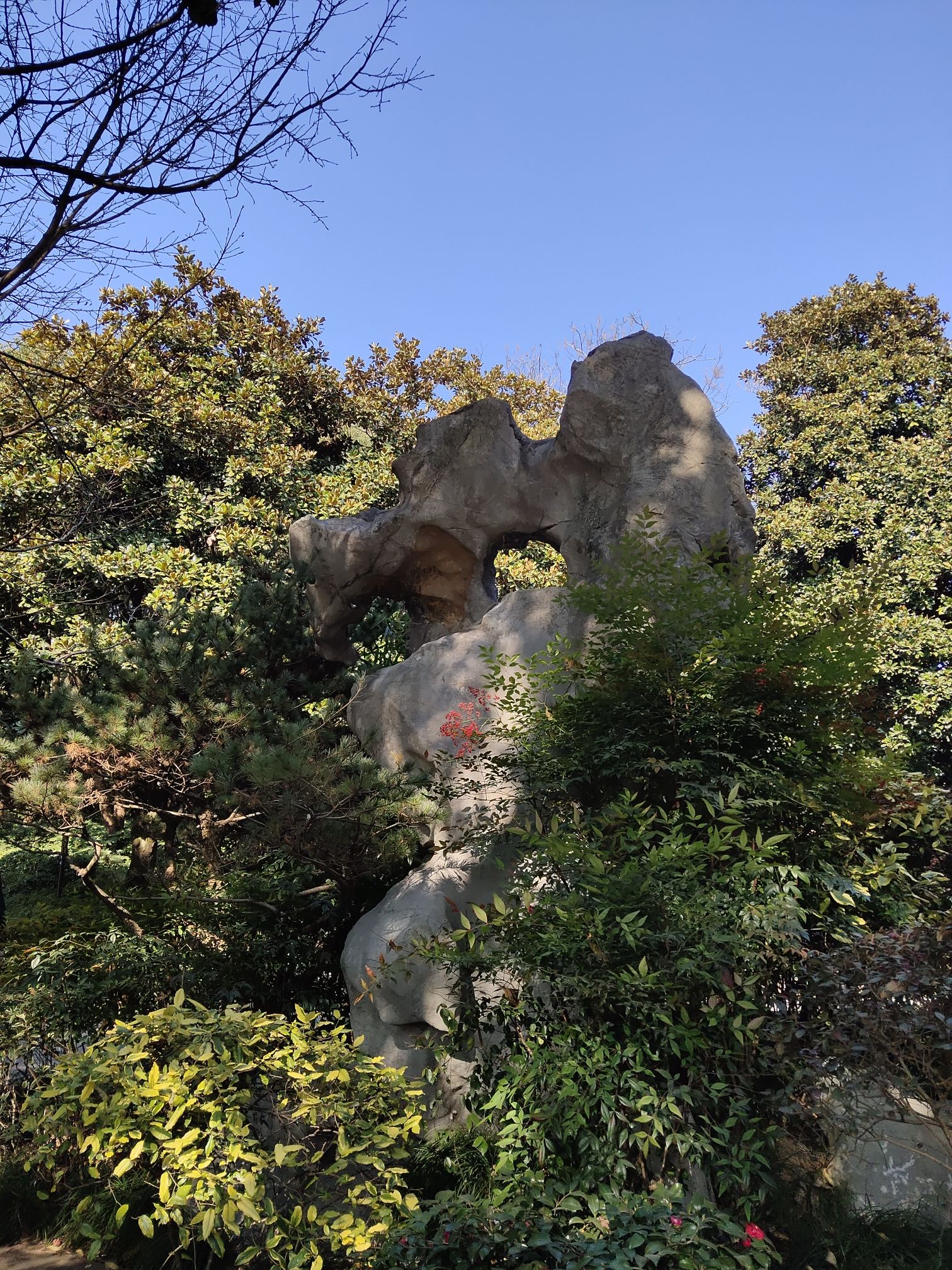 杭州半山国家森林公园旅行图片 3