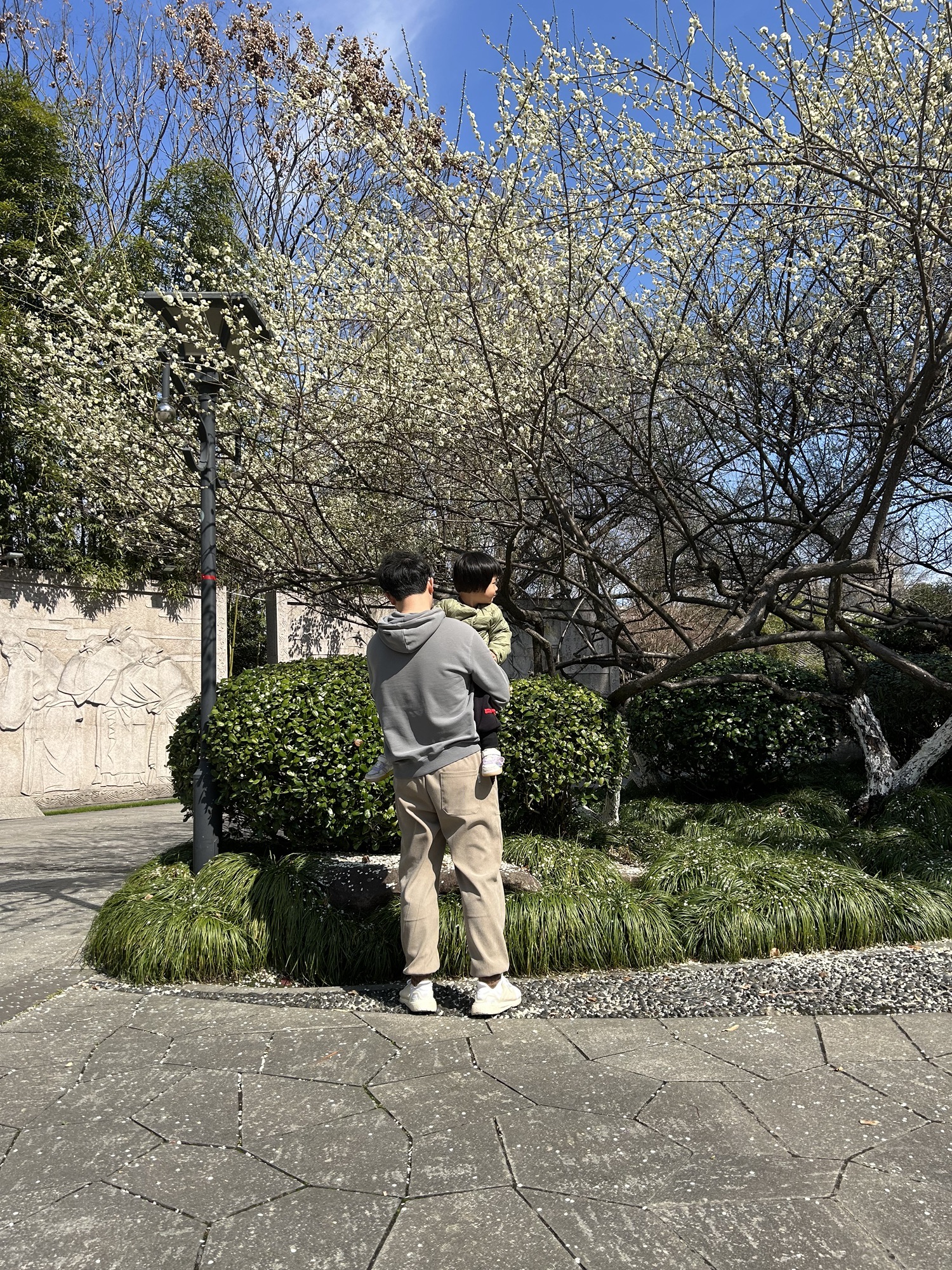 知章公园旅行图片 3