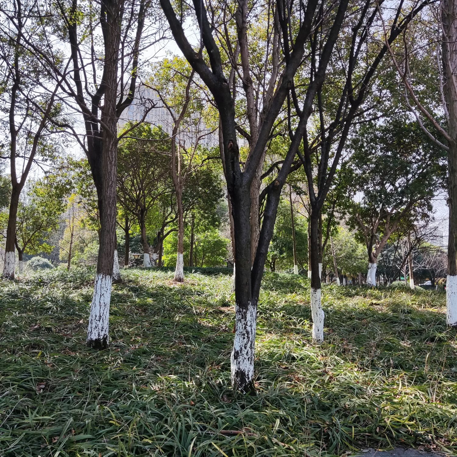 知章公园旅行图片 1