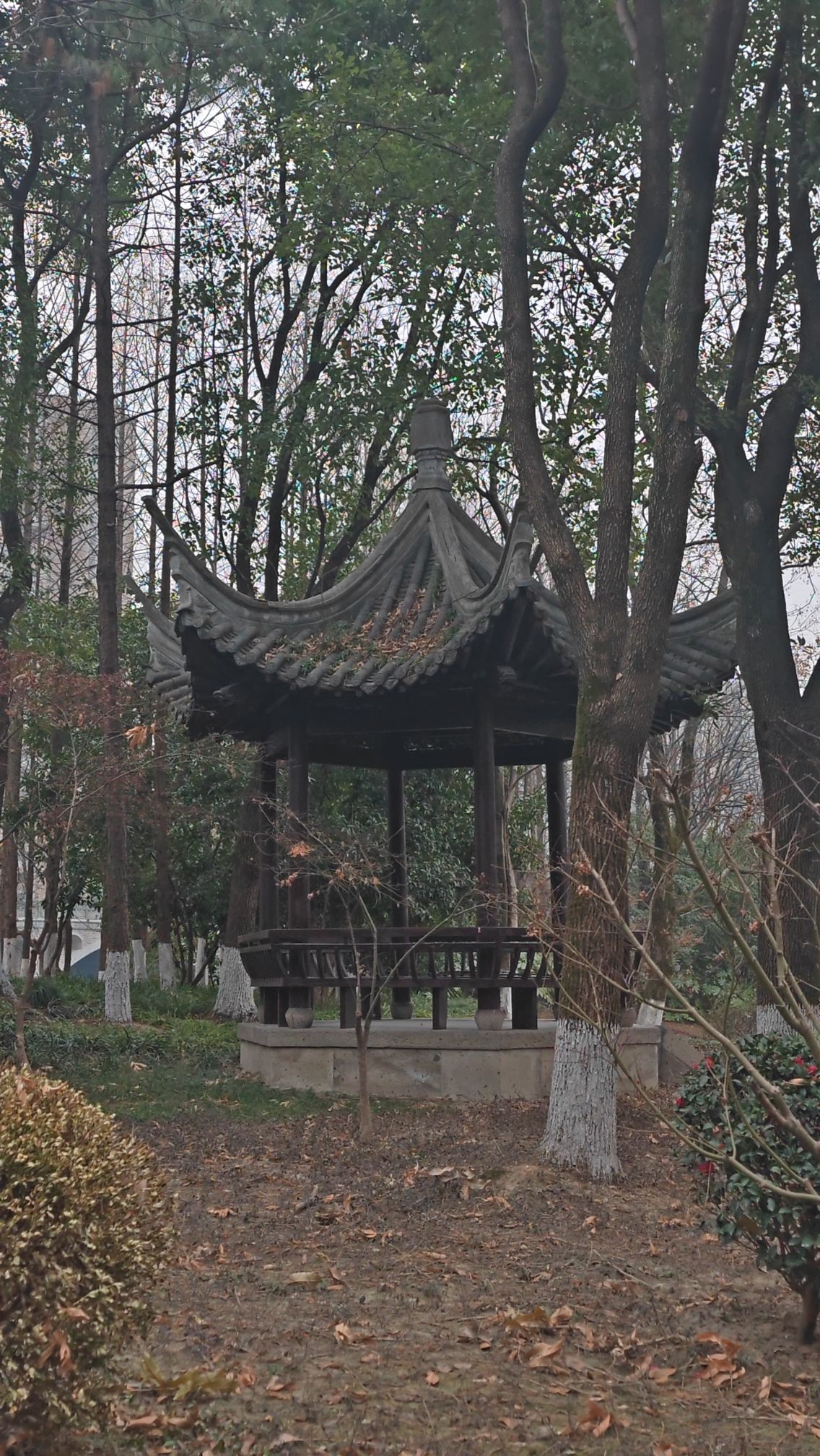 知章公园旅行图片 3