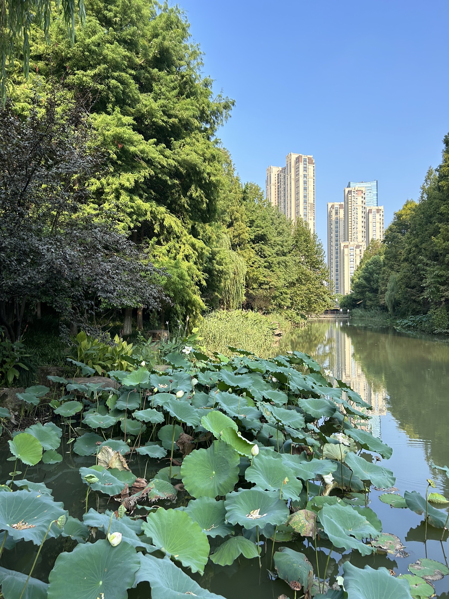 水景公园