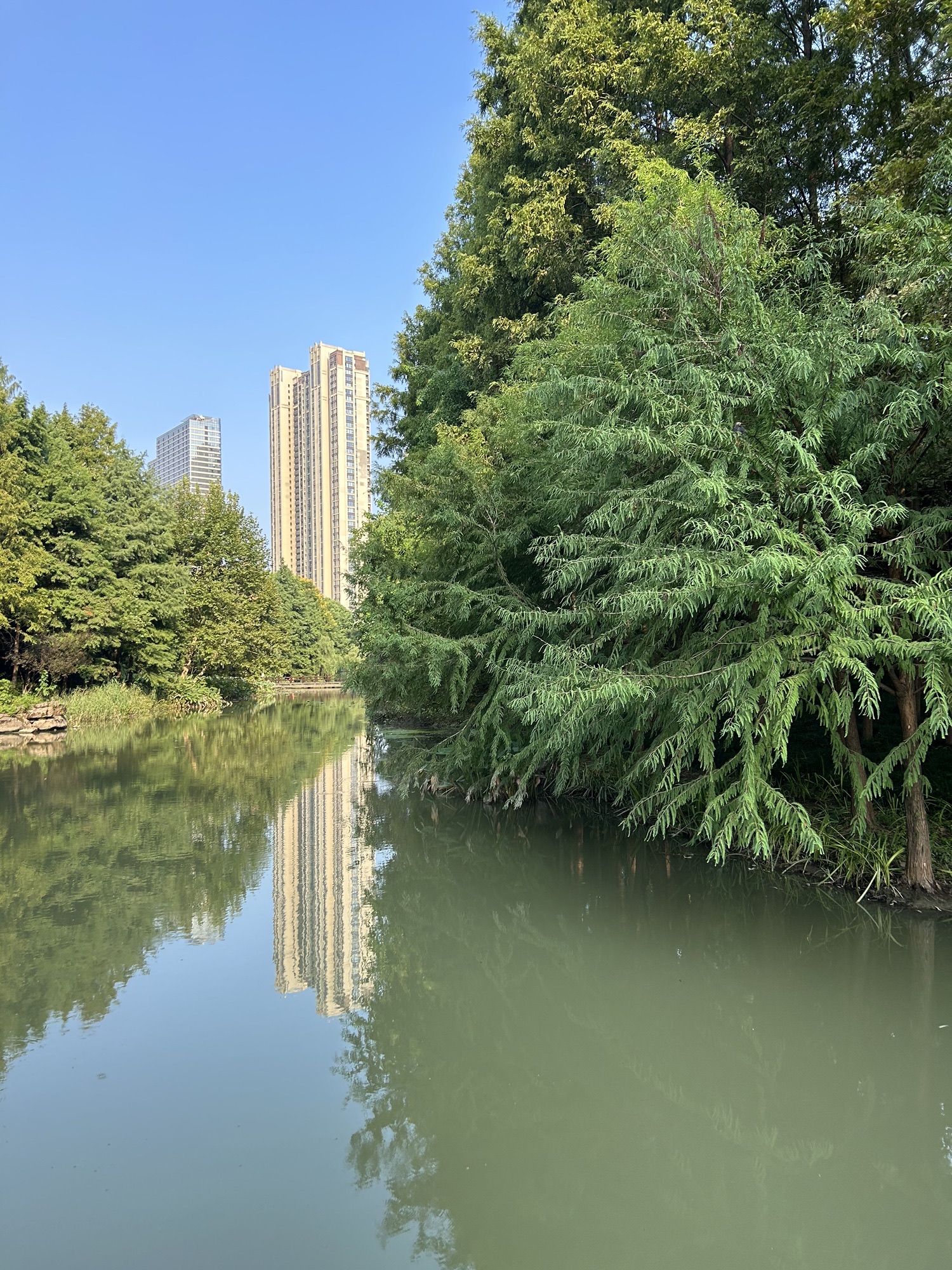 水景公园
