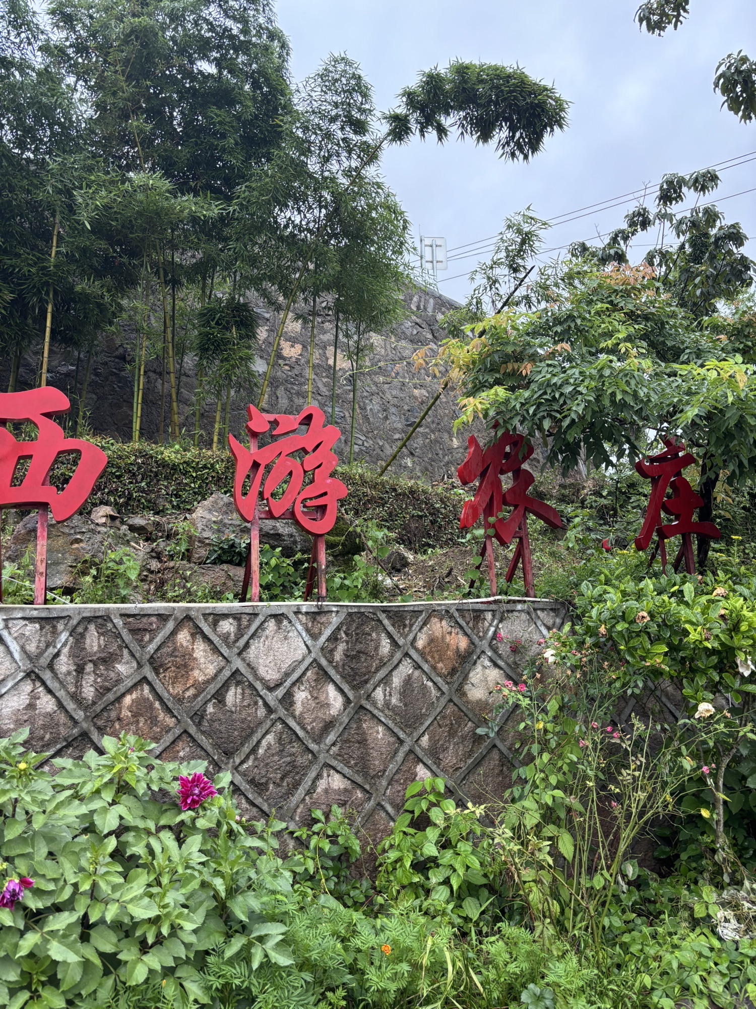 西游农庄
