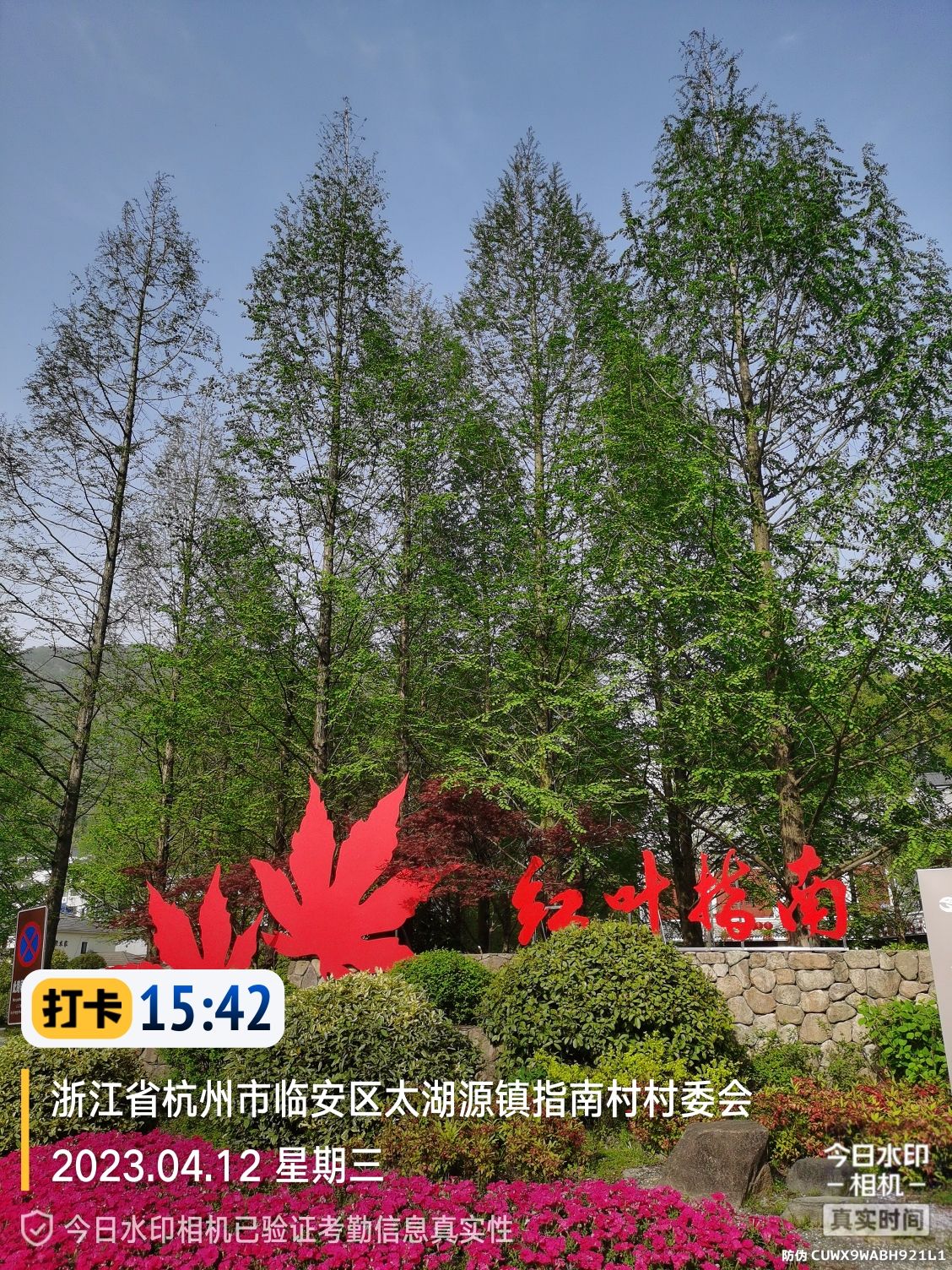 指南慈境旅行图片 1