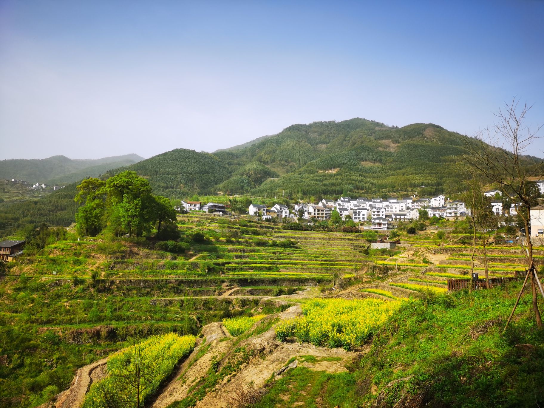 指南慈境旅行图片 2