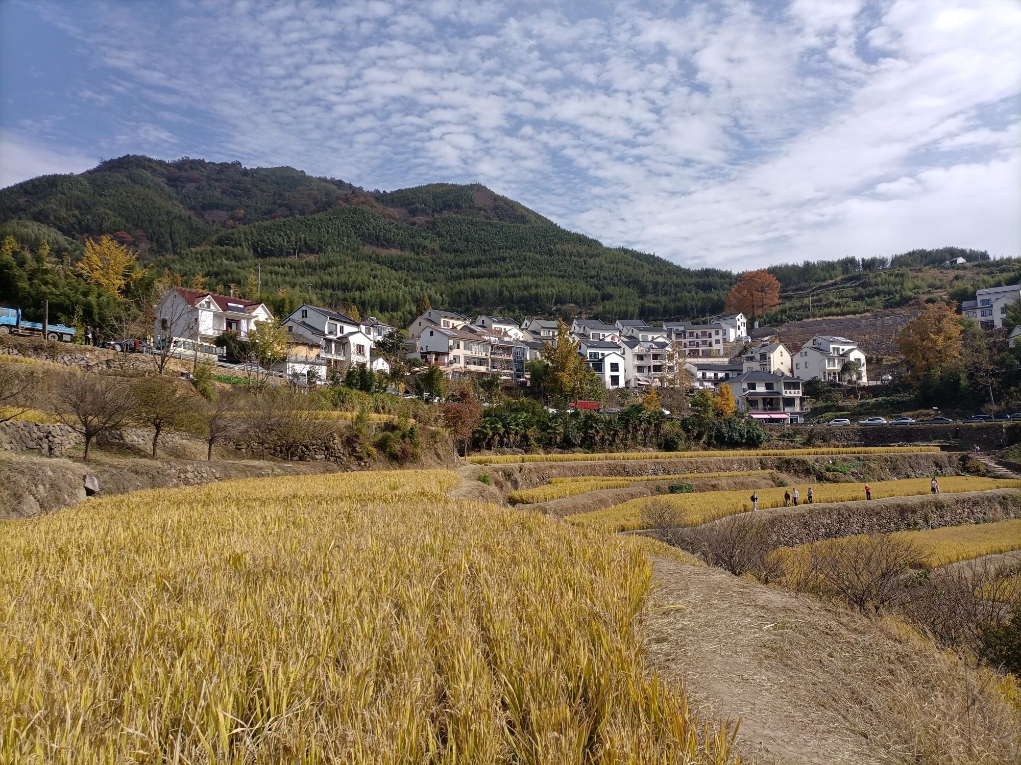 指南慈境旅行图片 1