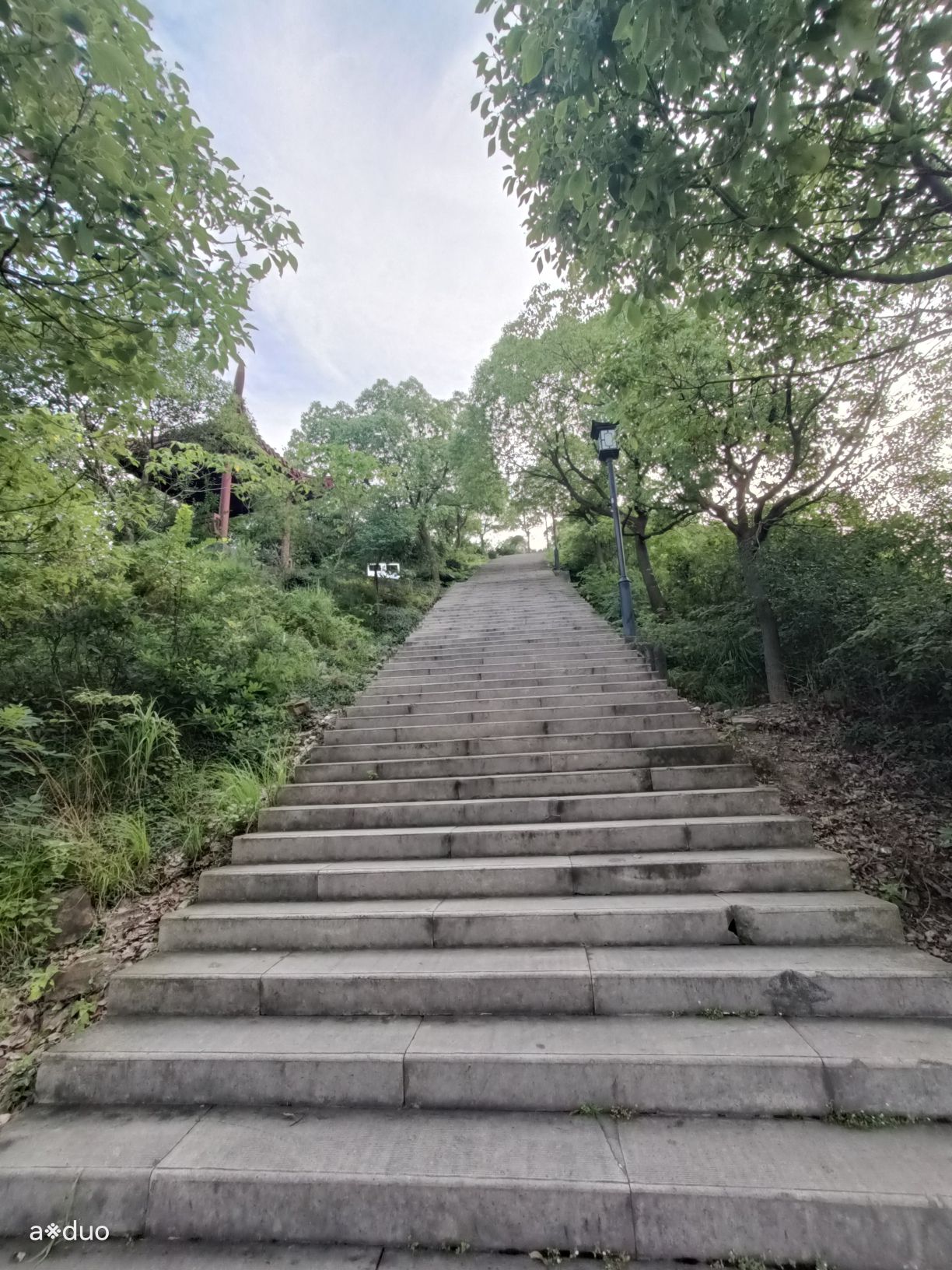 航坞公园旅行图片 3