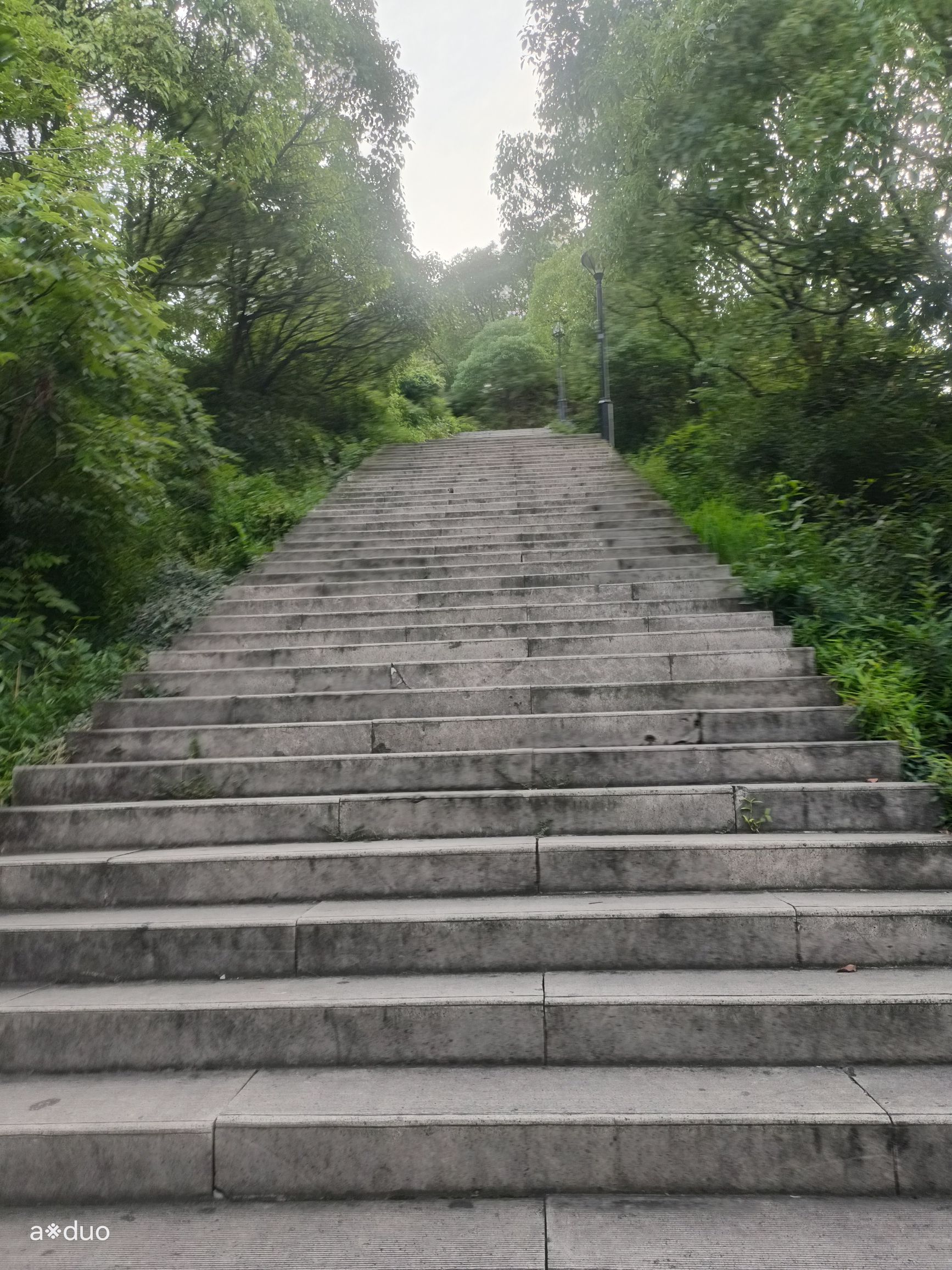 航坞公园旅行图片 2