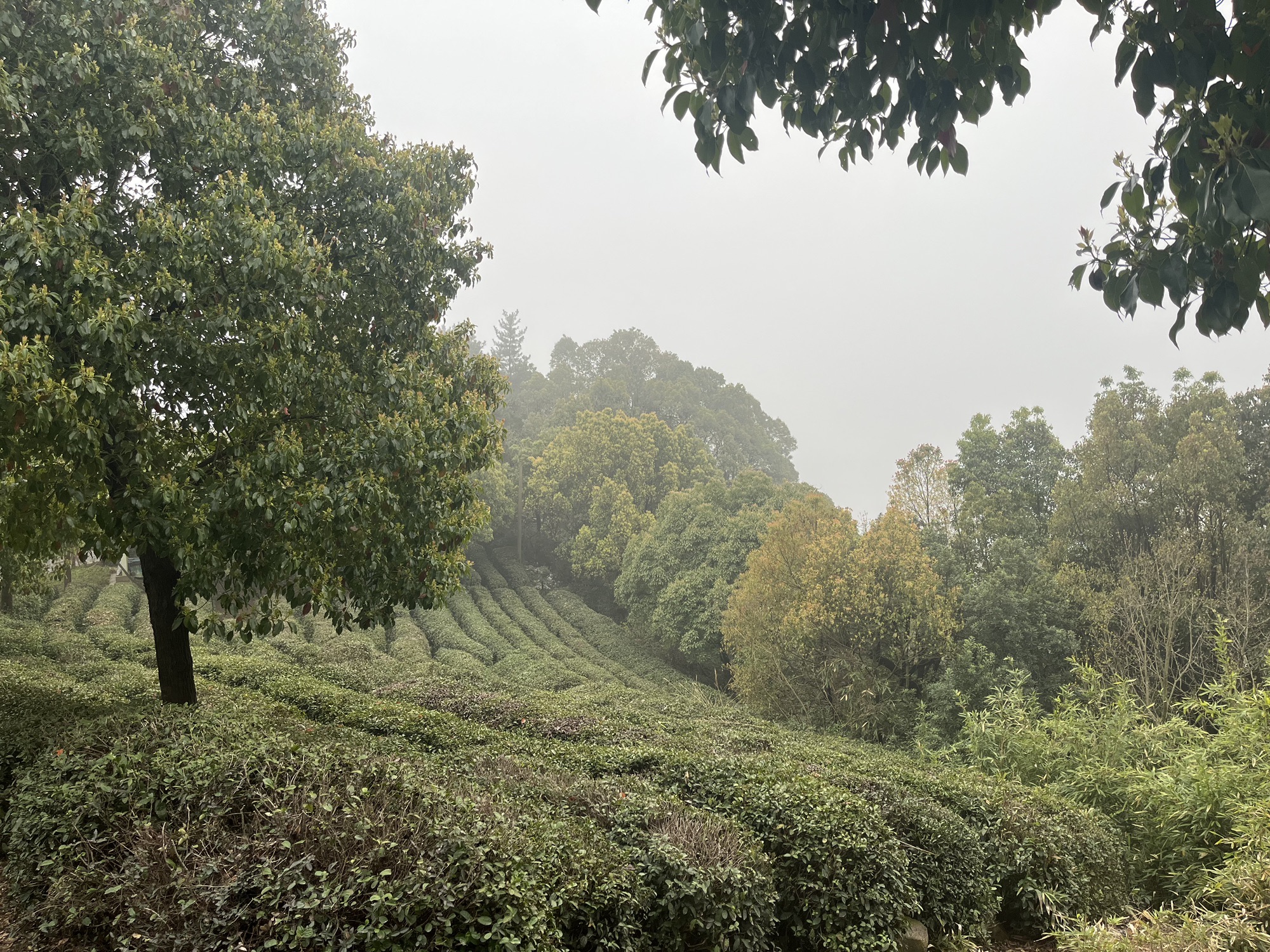 航坞胜境旅行图片 2