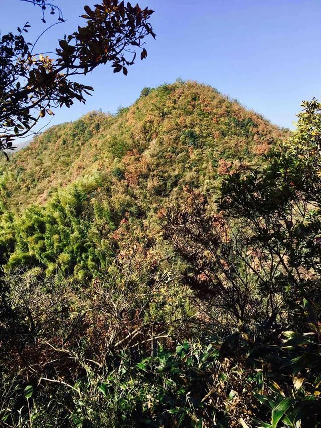航坞胜境旅行图片 2