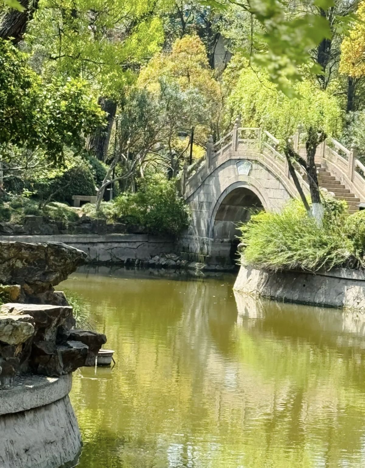 靖江公园旅行图片 2