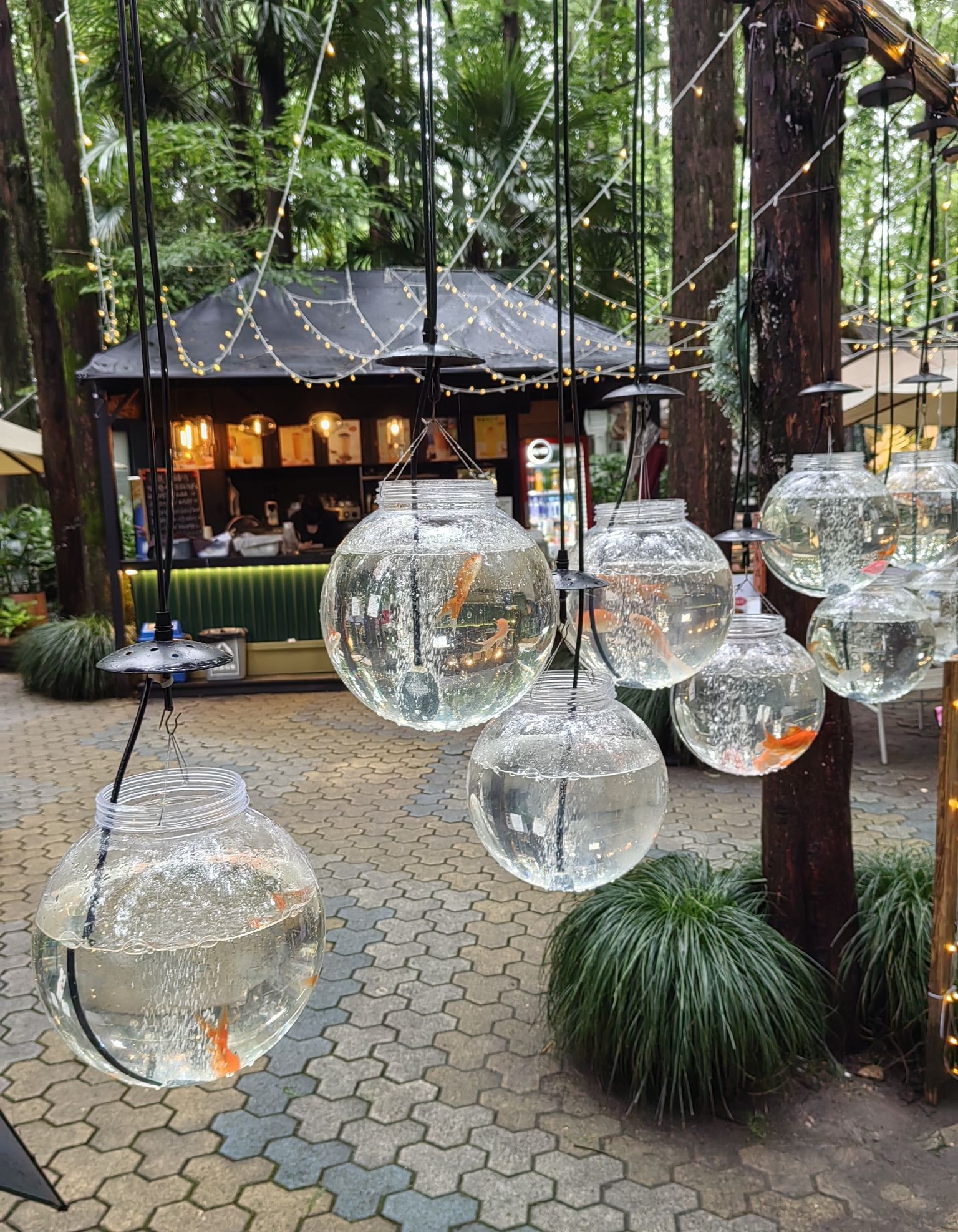 莲遇花园餐厅
