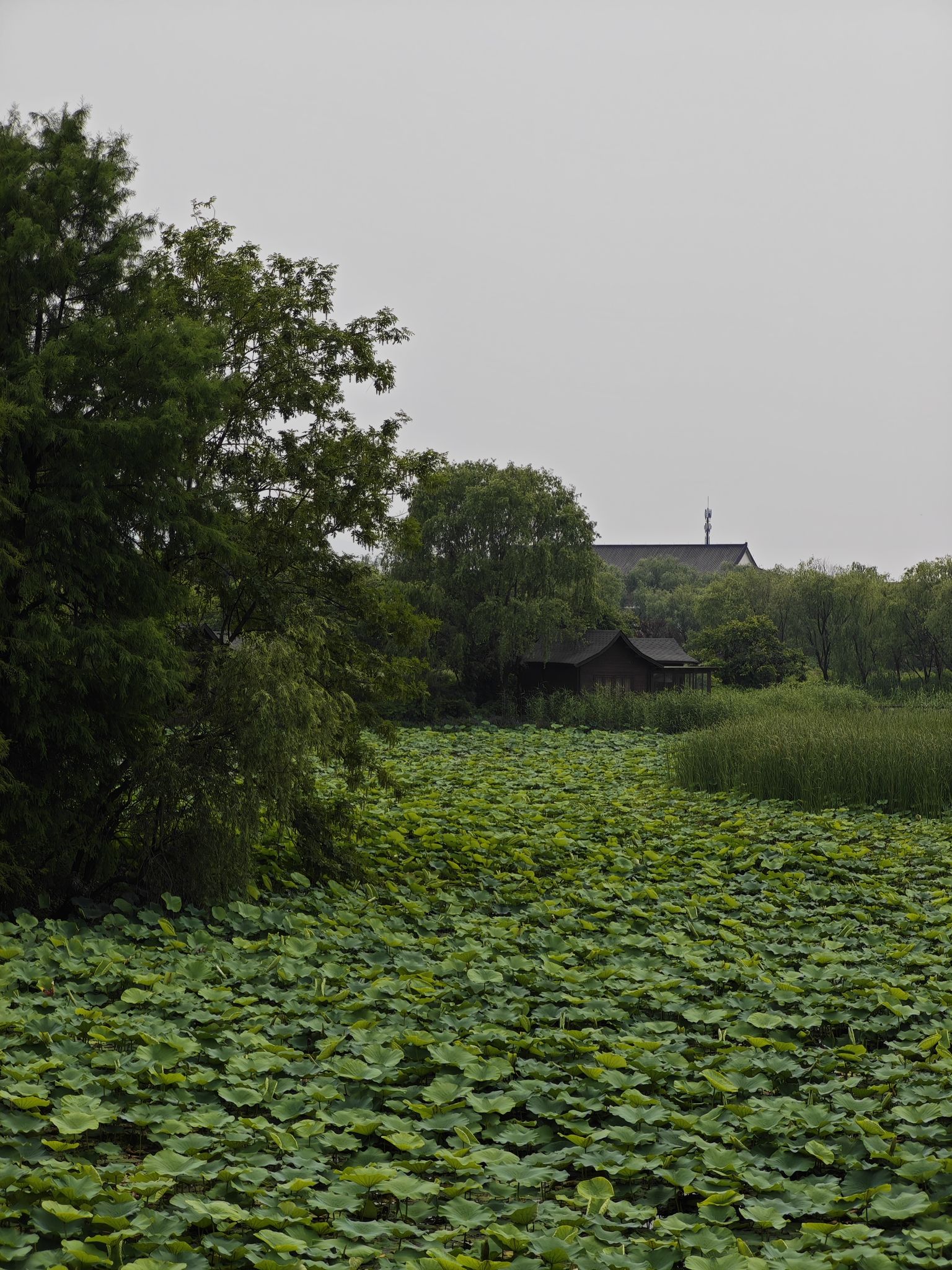 杭州生态园