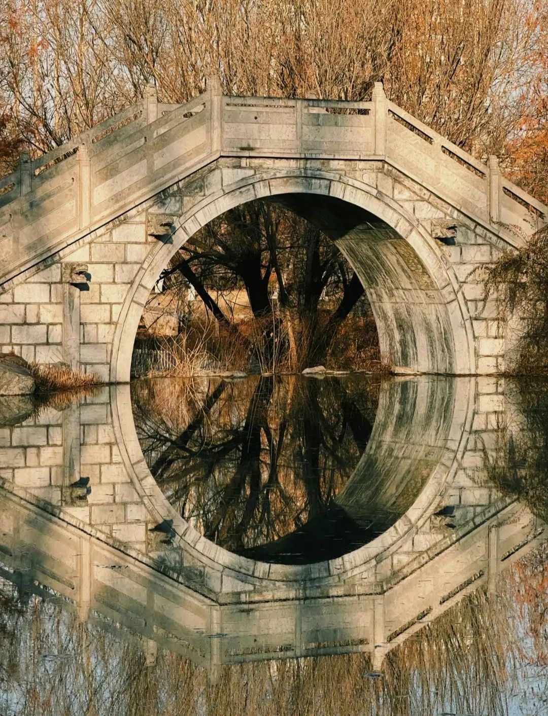 西湖公园旅行图片 3