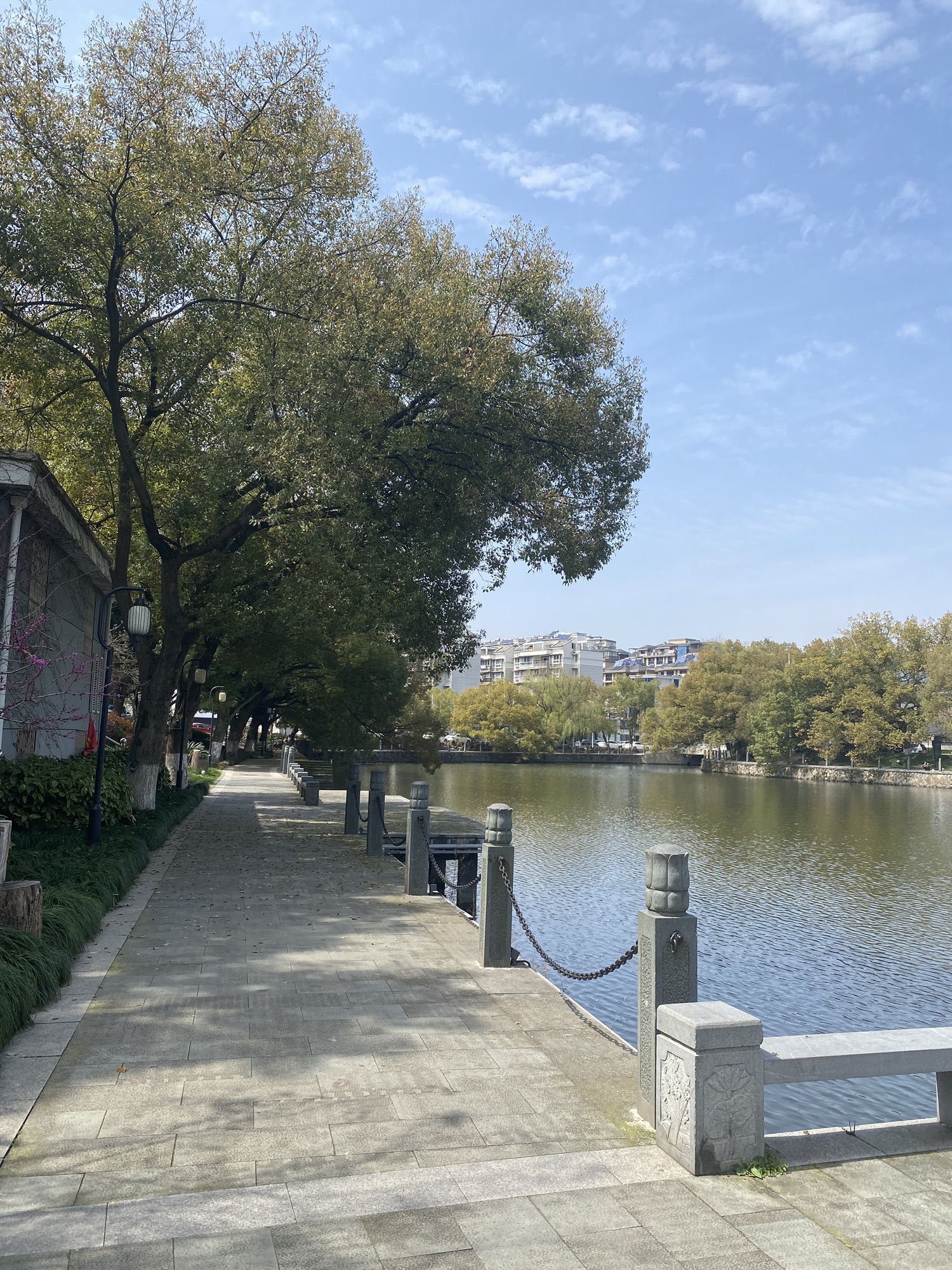 西湖公园旅行图片 2