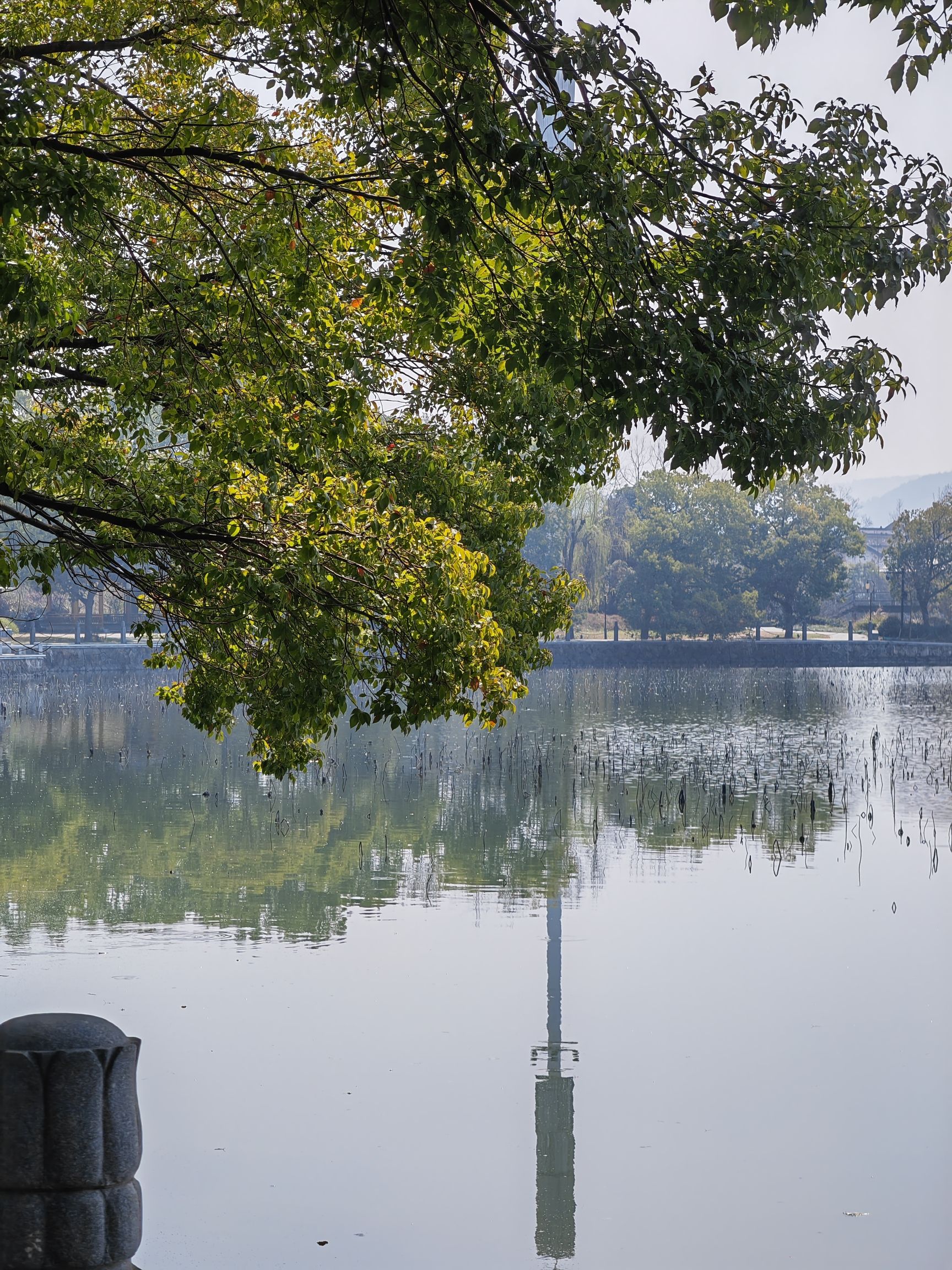 西湖公园旅行图片 1