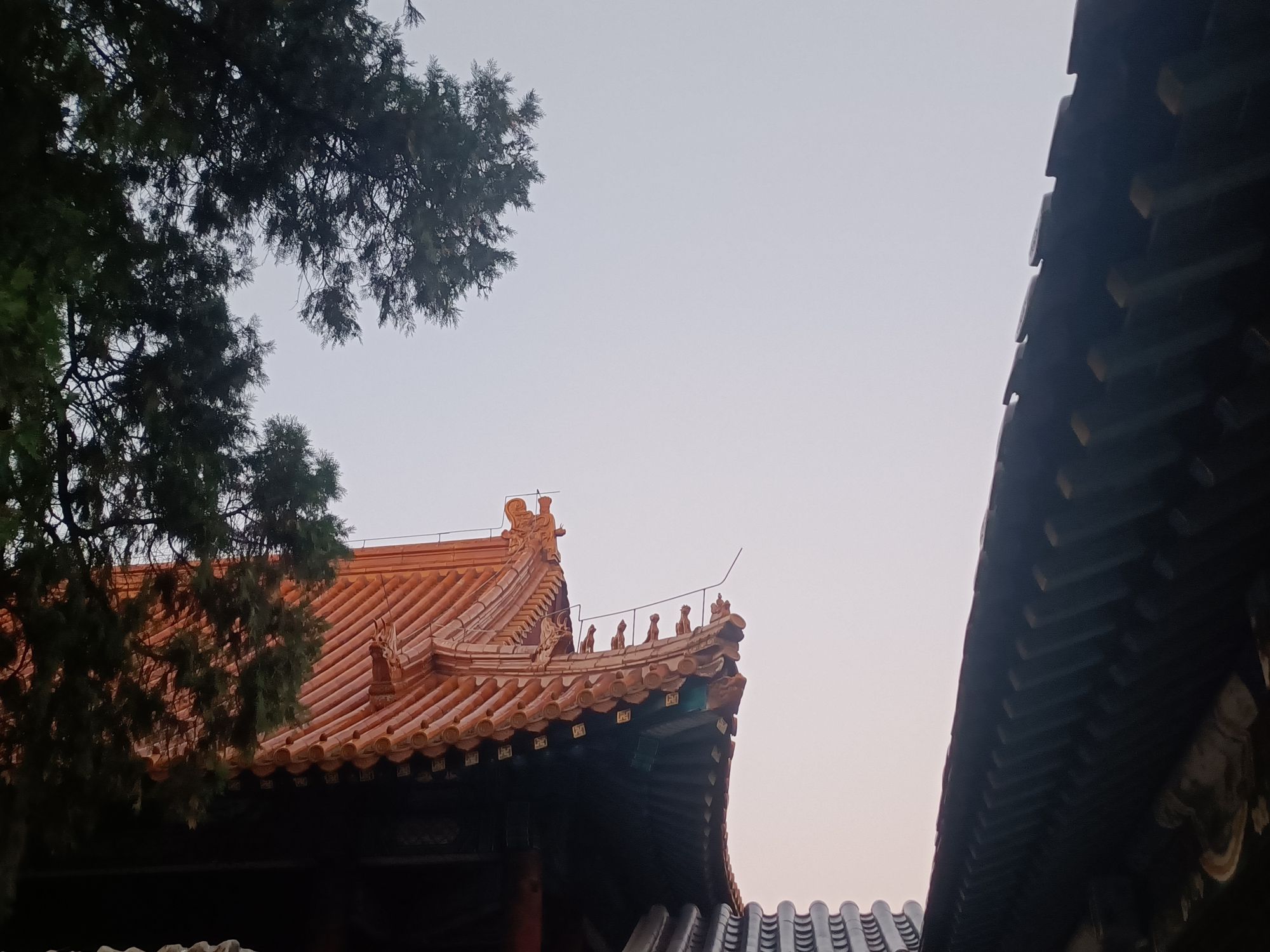 西湖公园旅行图片 3