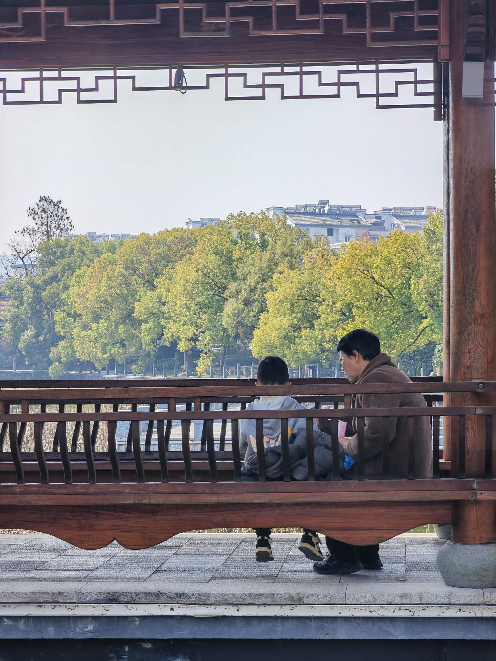 西湖公园旅行图片 3