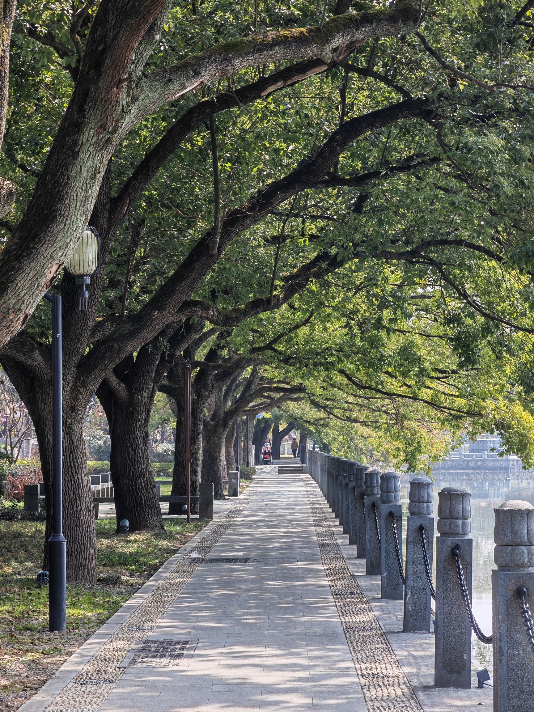 西湖公园旅行图片 2