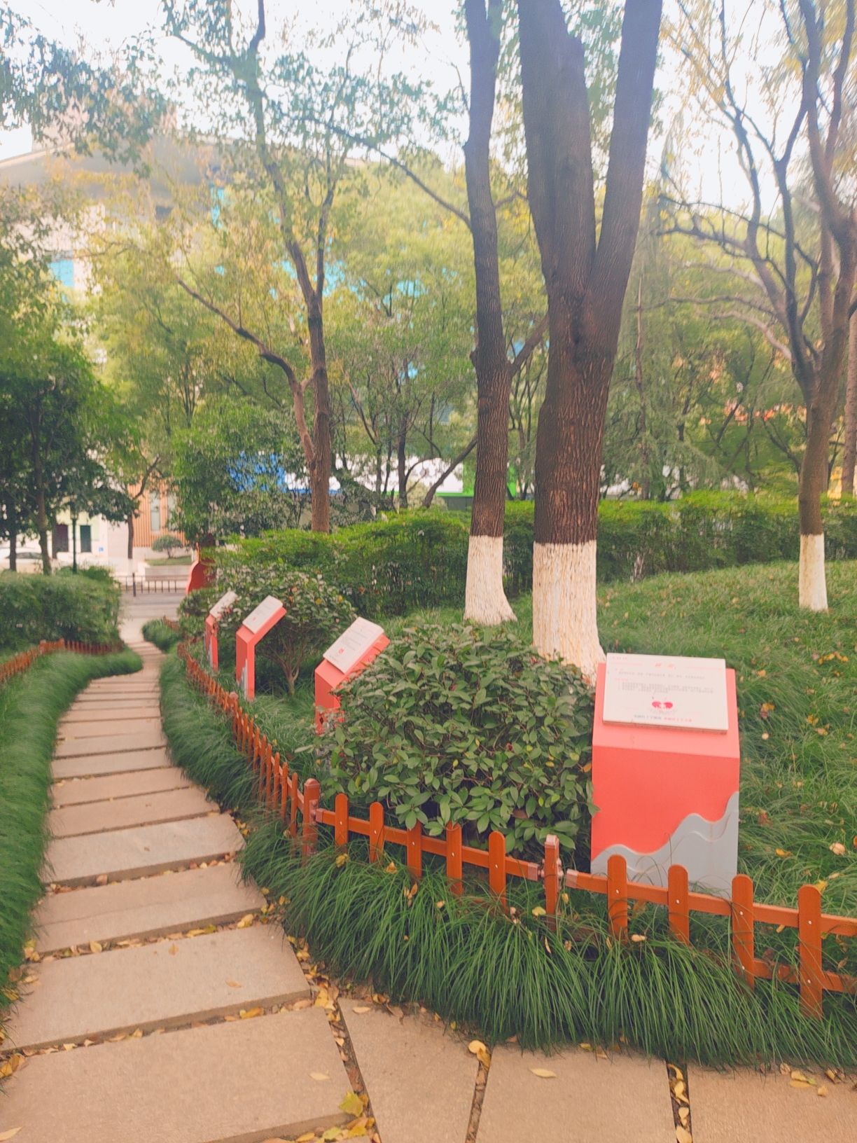 崇贤街道向阳文体公园旅行图片 1