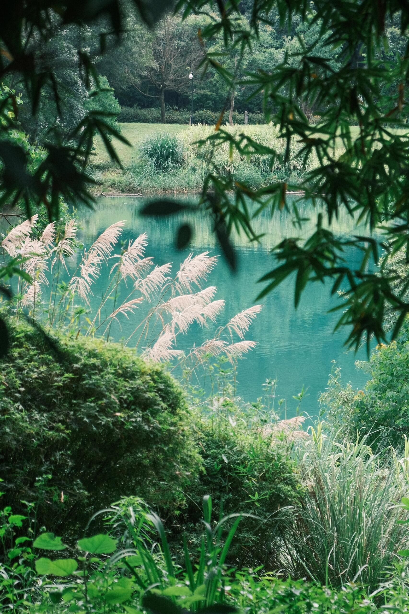 黄公望隐居地旅行图片 3