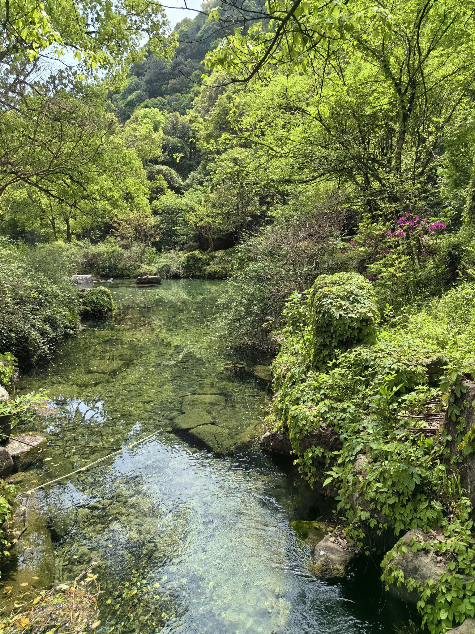 黄公望隐居地旅行图片 3