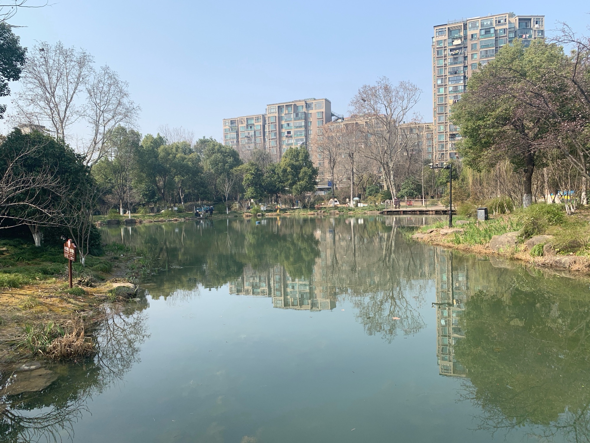 紫荆公园