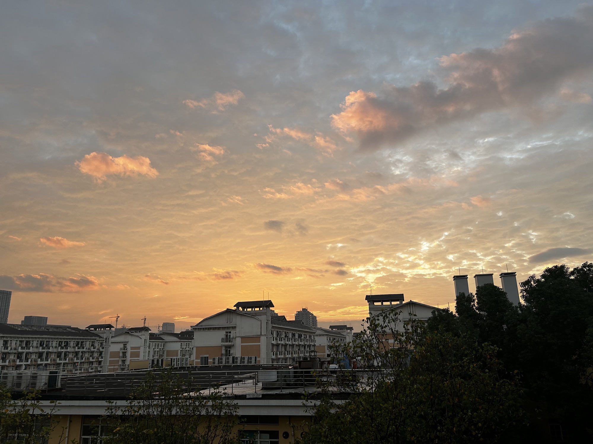 下沙文化中心广场旅行图片 3