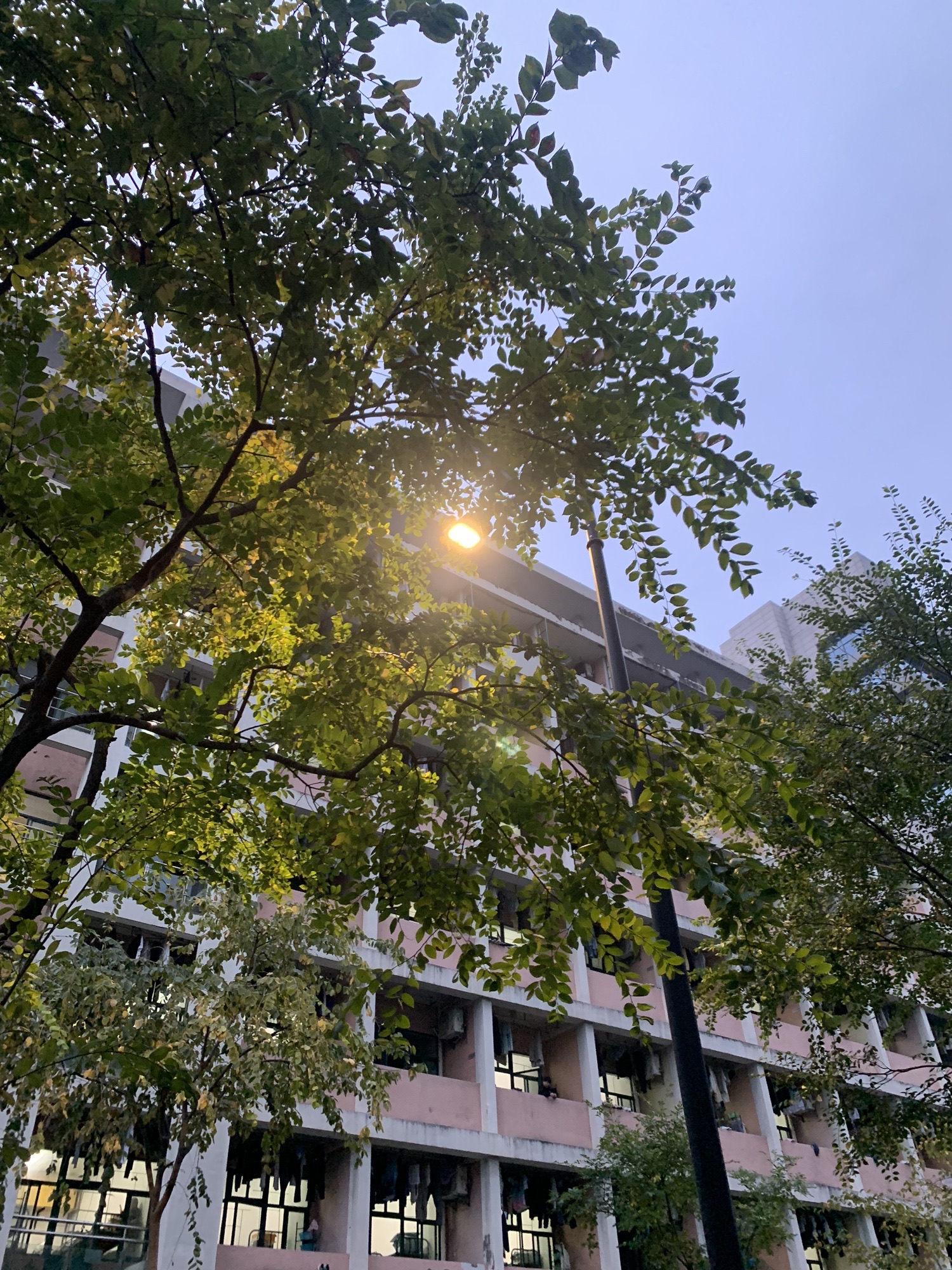 杭州汽车高级技工学校
