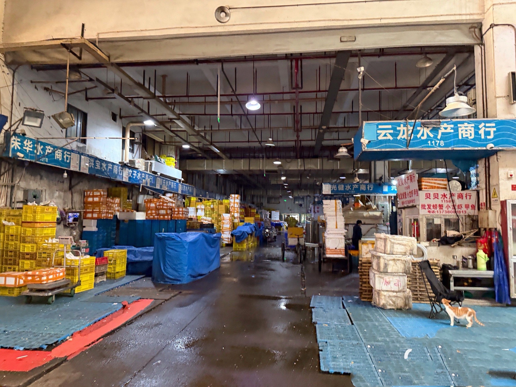 新农都水产市场