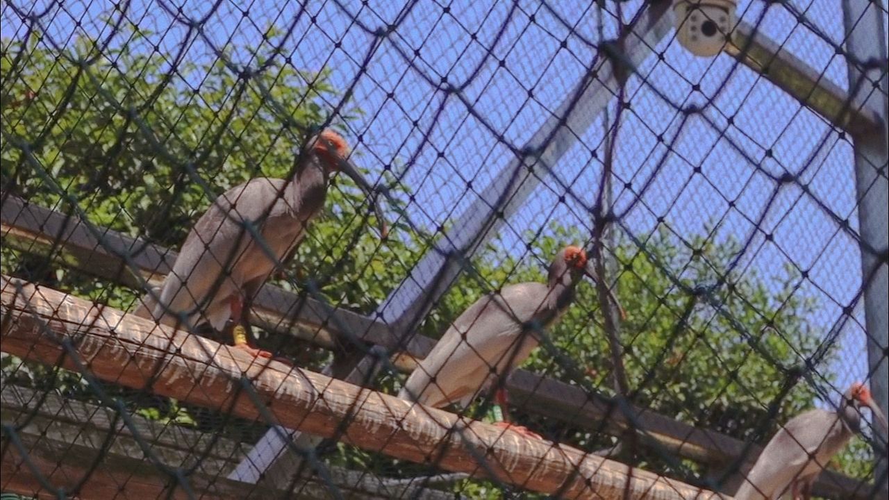 下渚湖·湿地公园旅行图片 1
