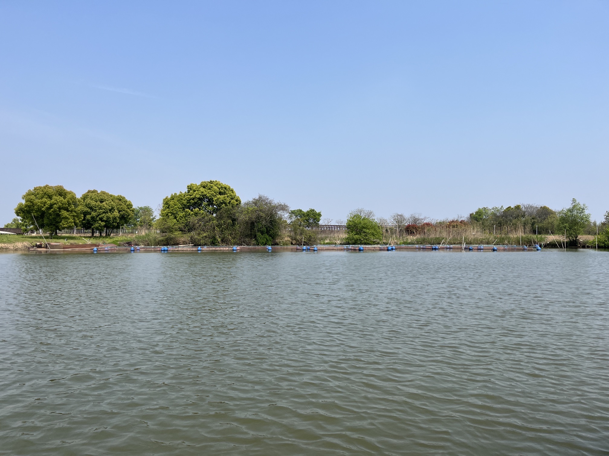 下渚湖·湿地公园旅行图片 2