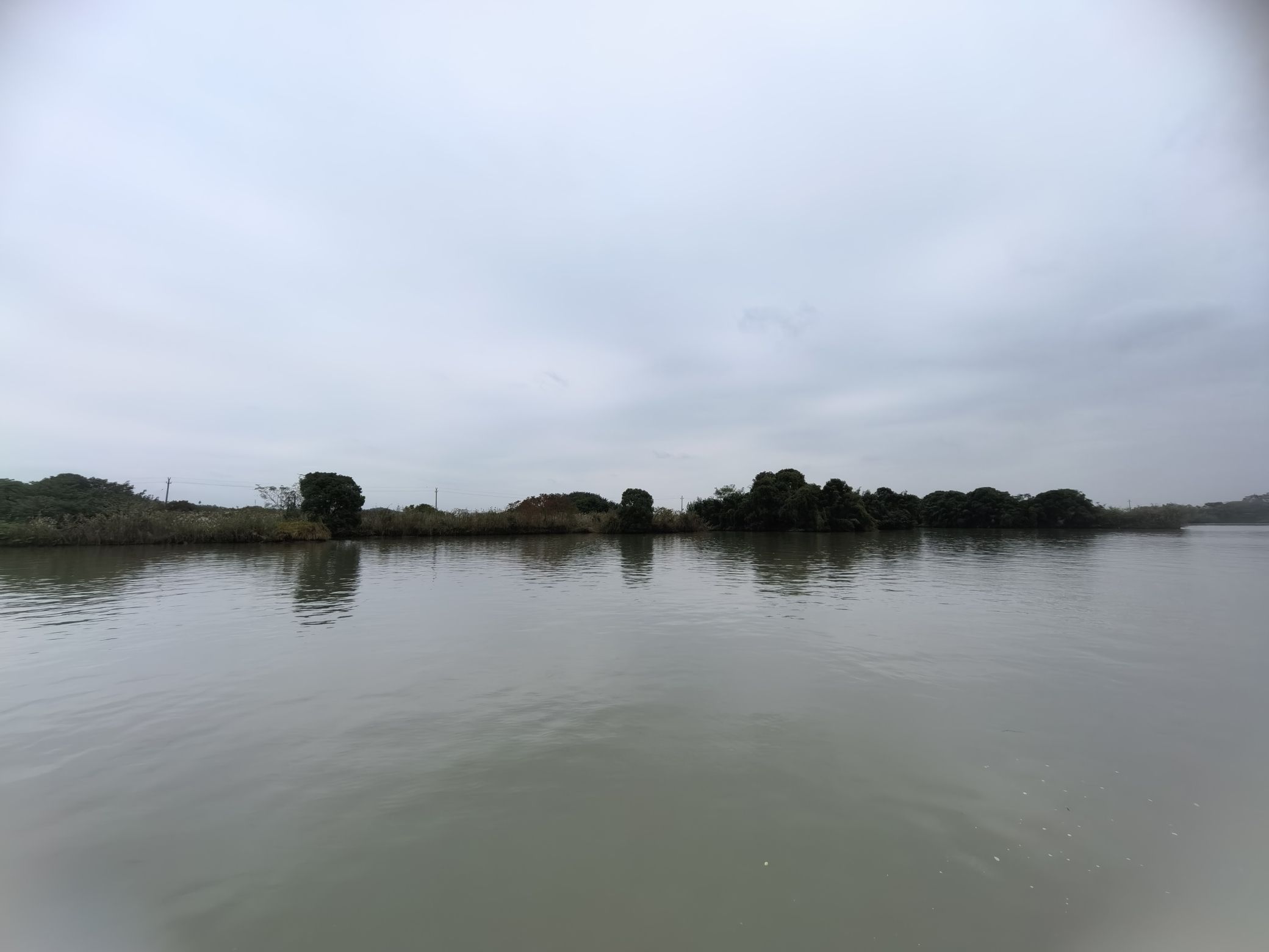 下渚湖·湿地公园旅行图片 1