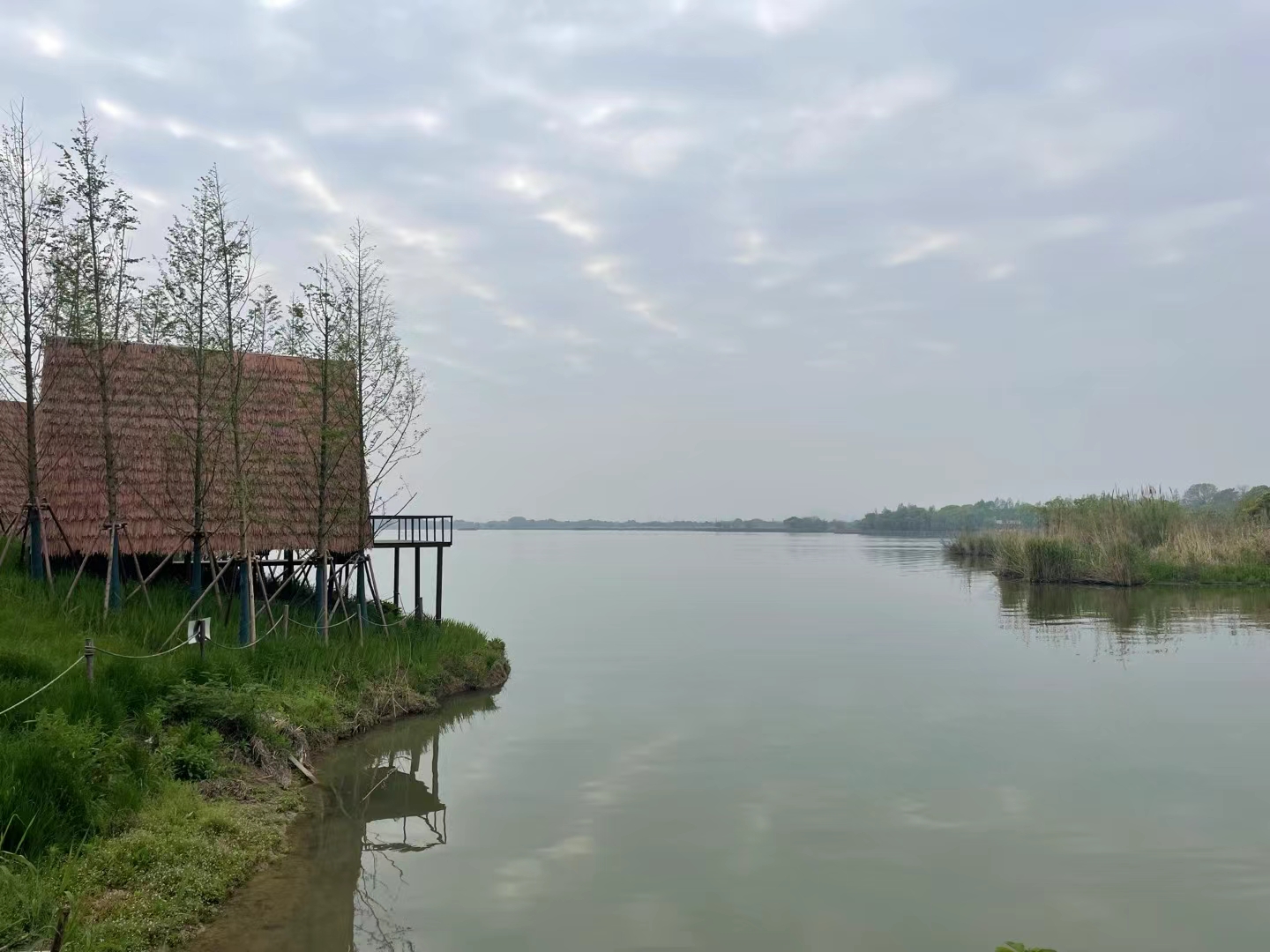 下渚湖·湿地公园旅行图片 3