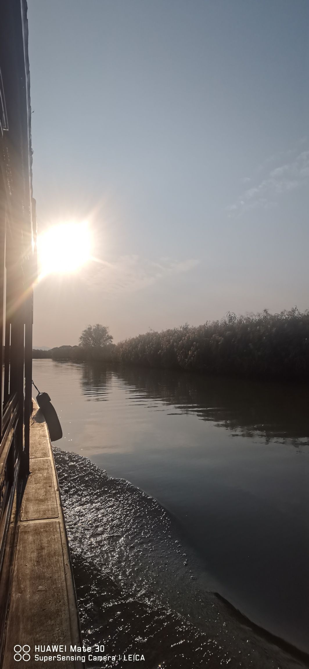 下渚湖·湿地公园旅行图片 1