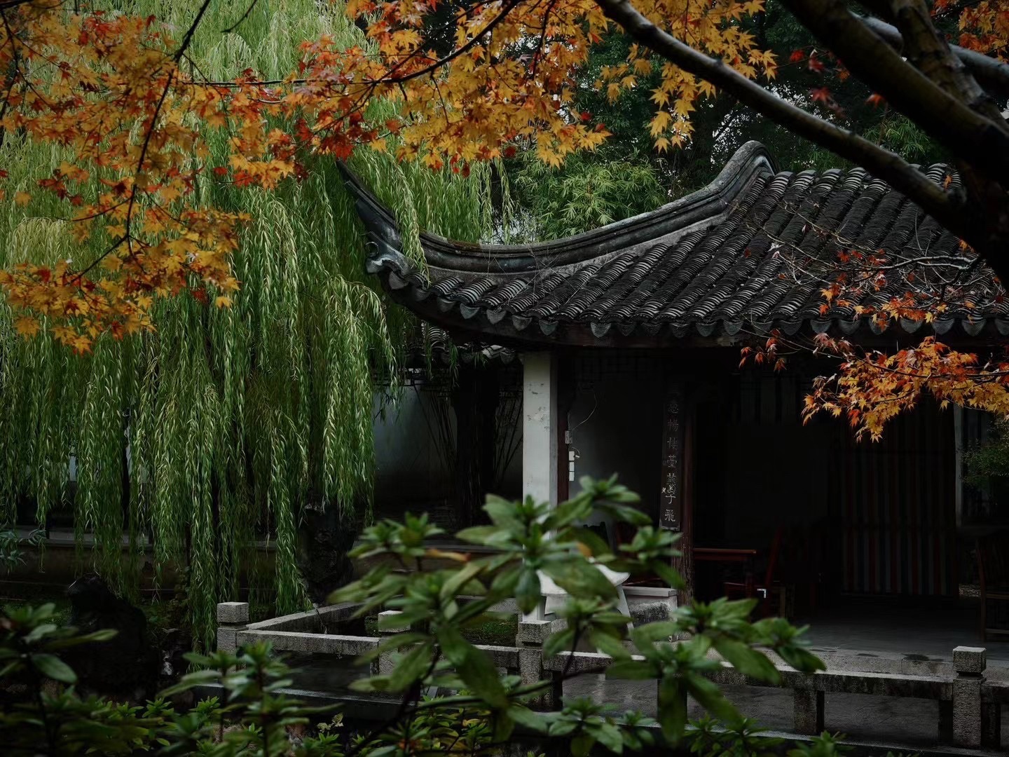 万兴公园旅行图片 3