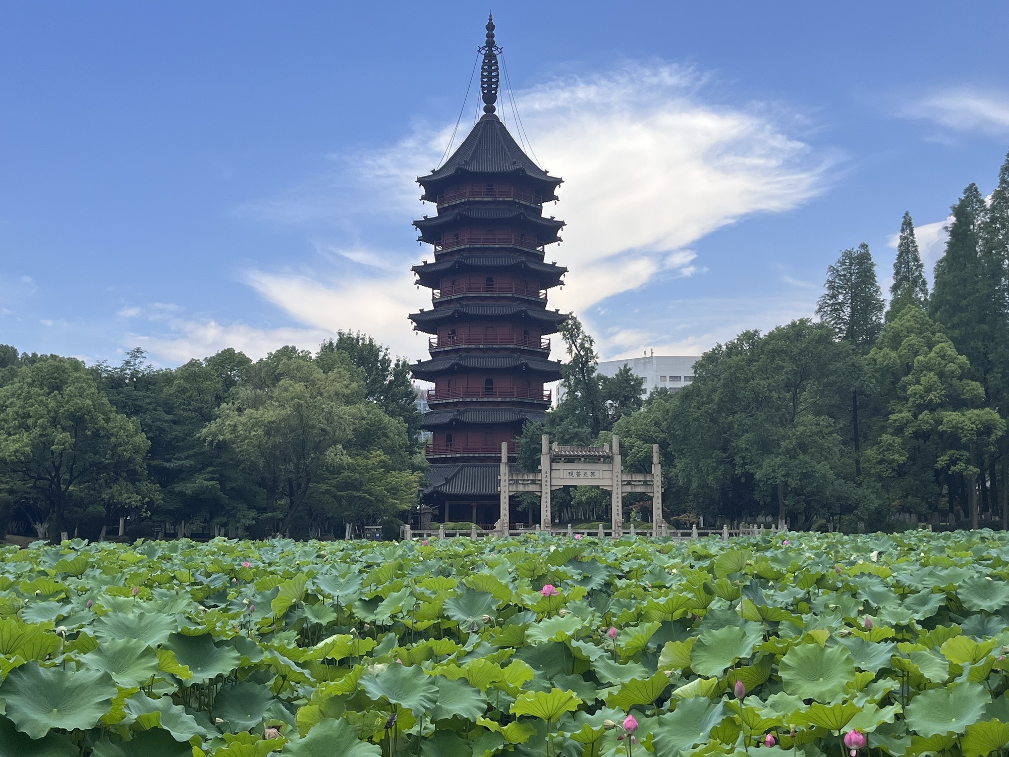 飞英公园现场照片 2