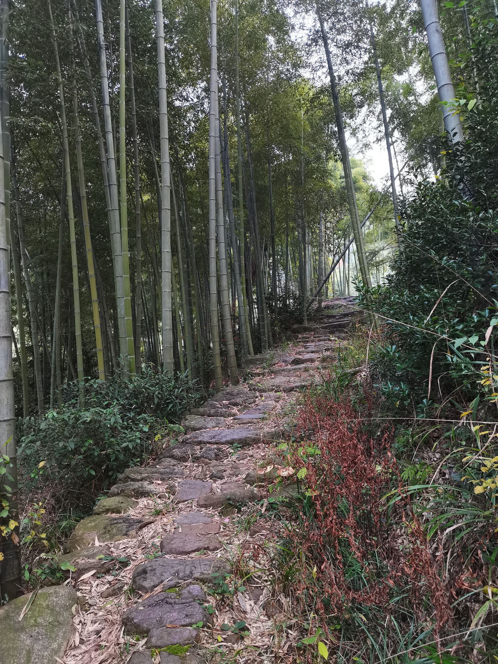 独松关旅行图片 1