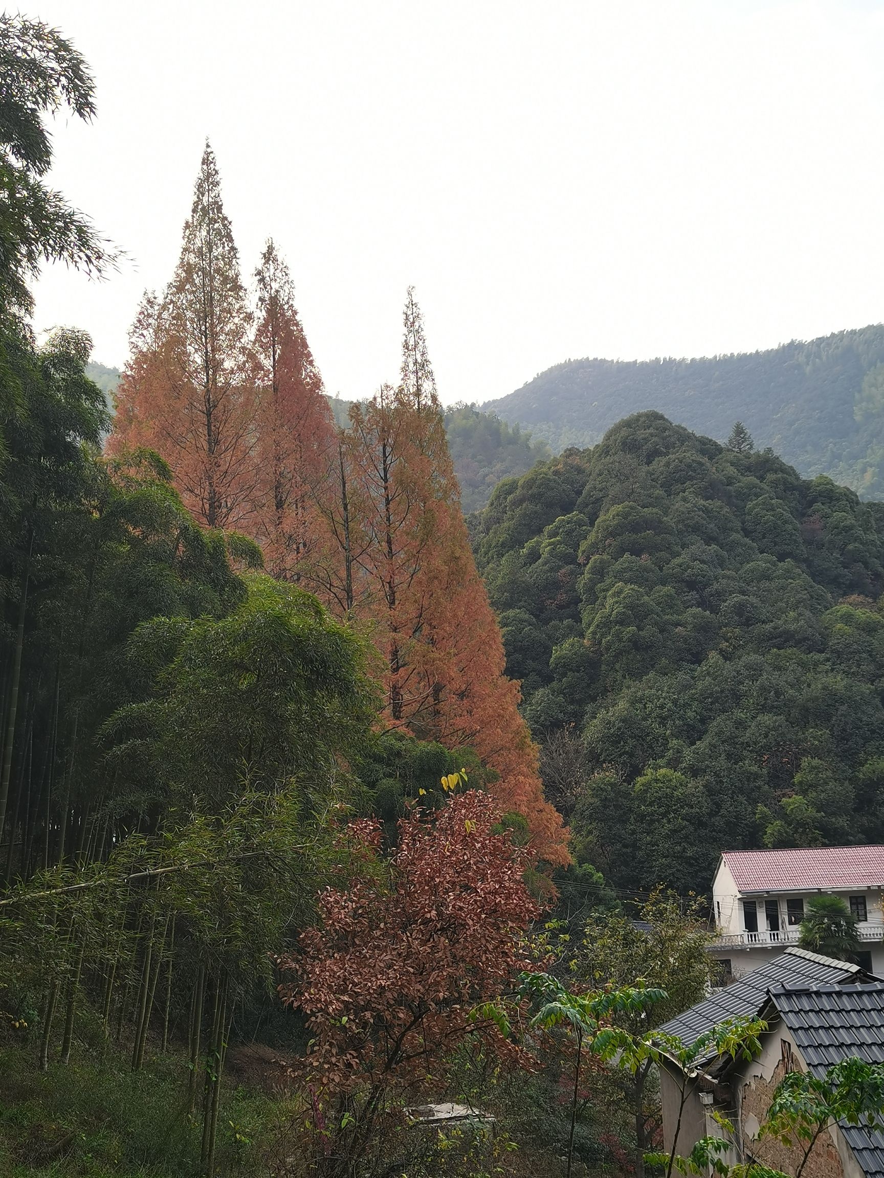 独松关旅行图片 3