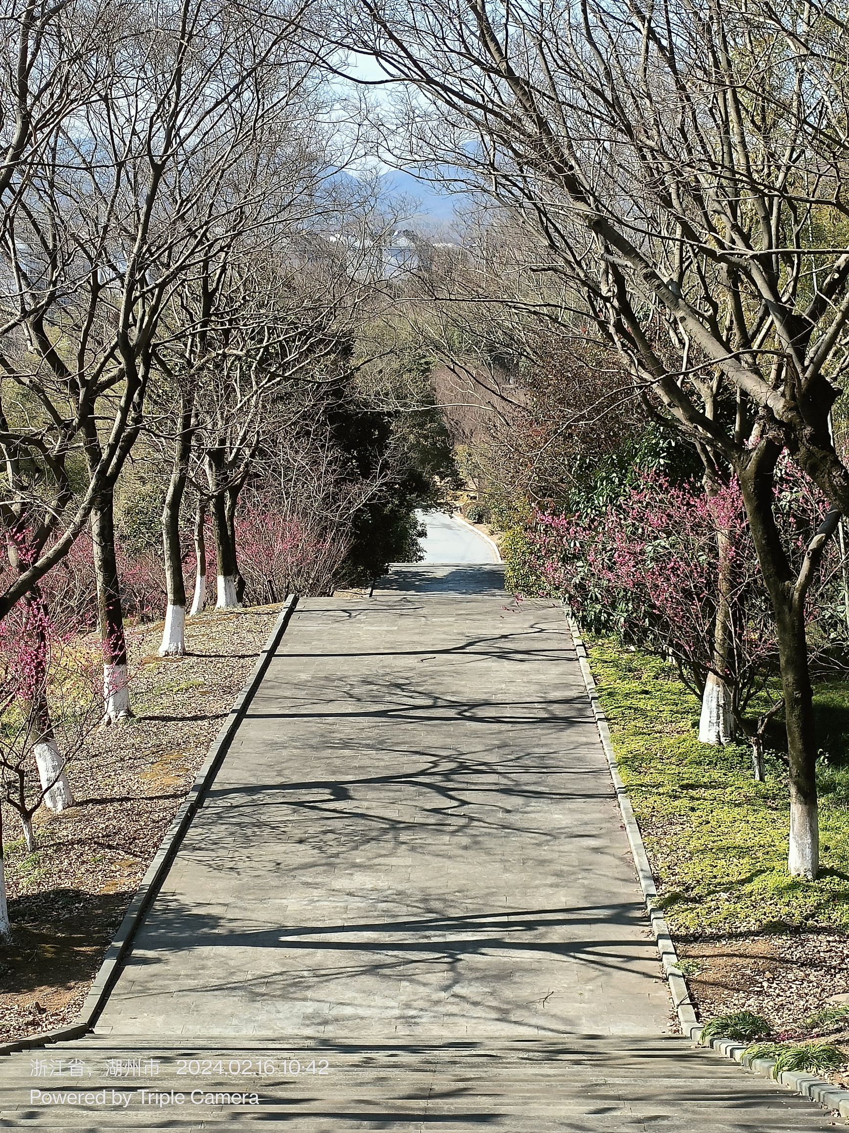 长兴金钉子远古世界景区旅行图片 3