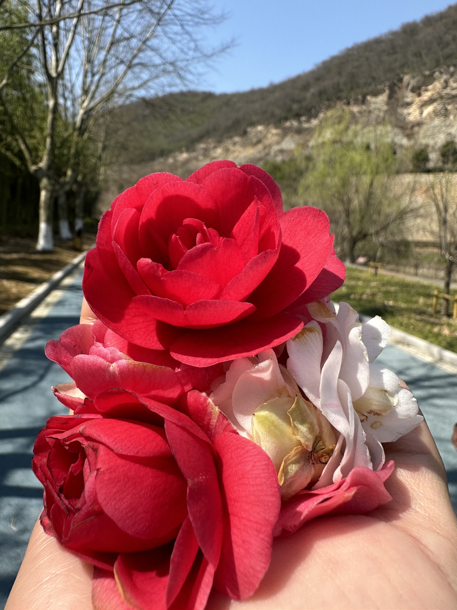 长兴金钉子远古世界景区旅行图片 3