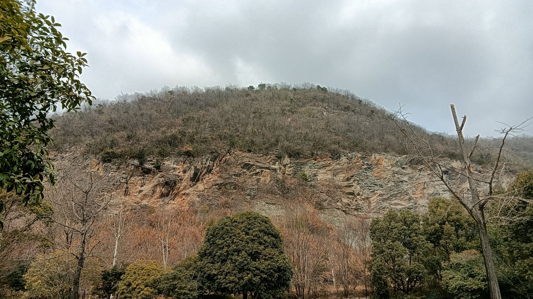 长兴金钉子远古世界景区旅行图片 3